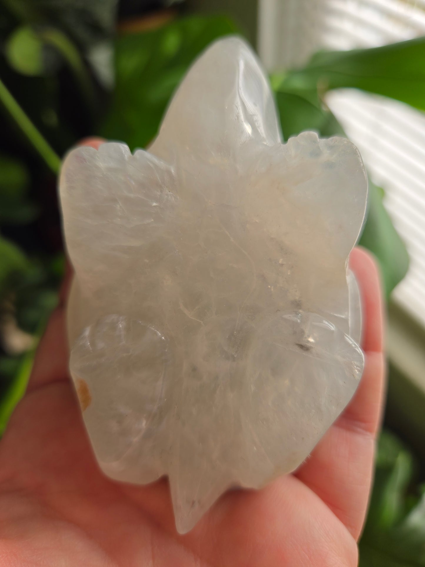 Agate Turtle