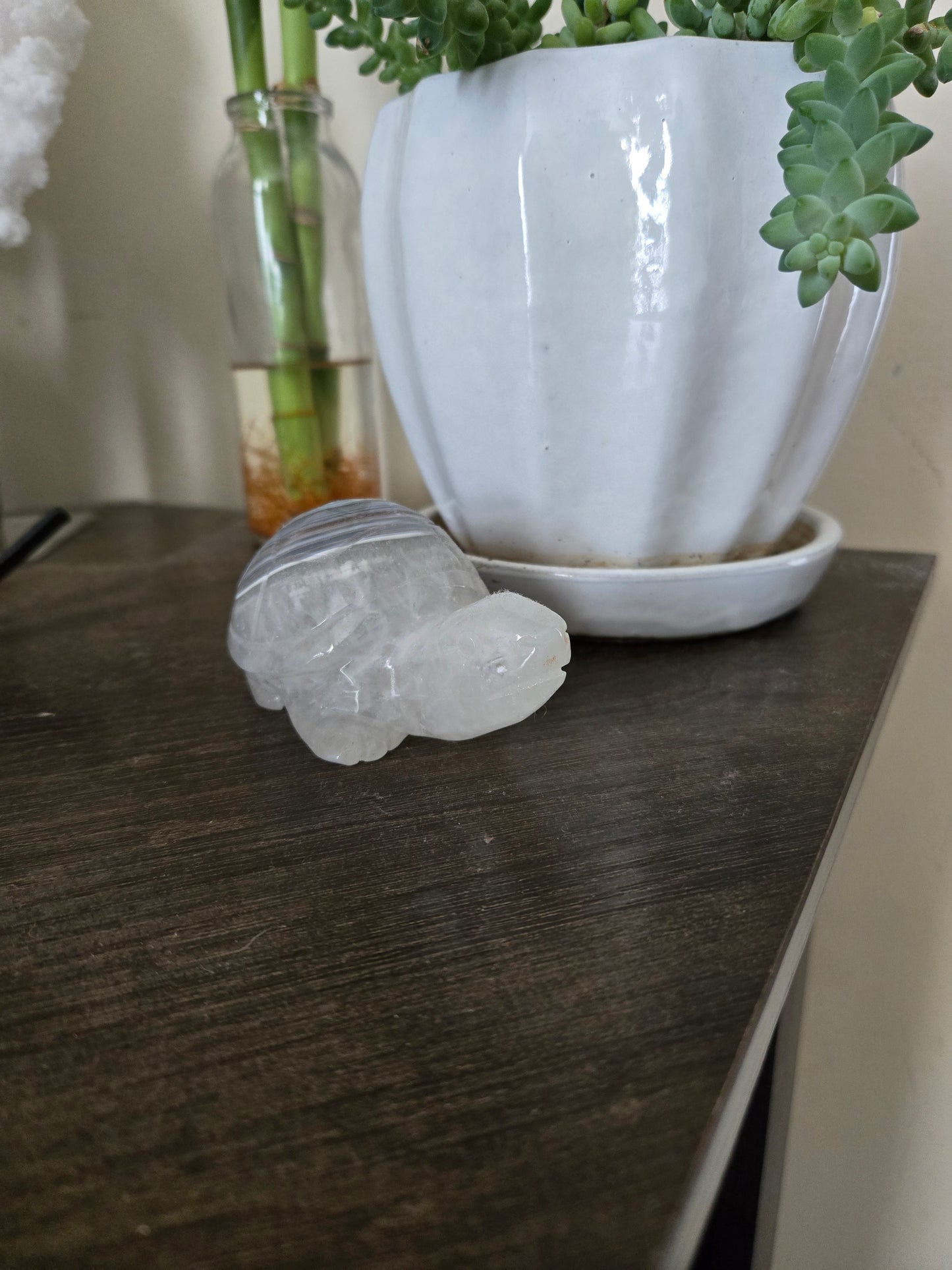 Agate Turtle