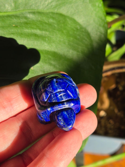 Sodalite Turtle Carving (B)
