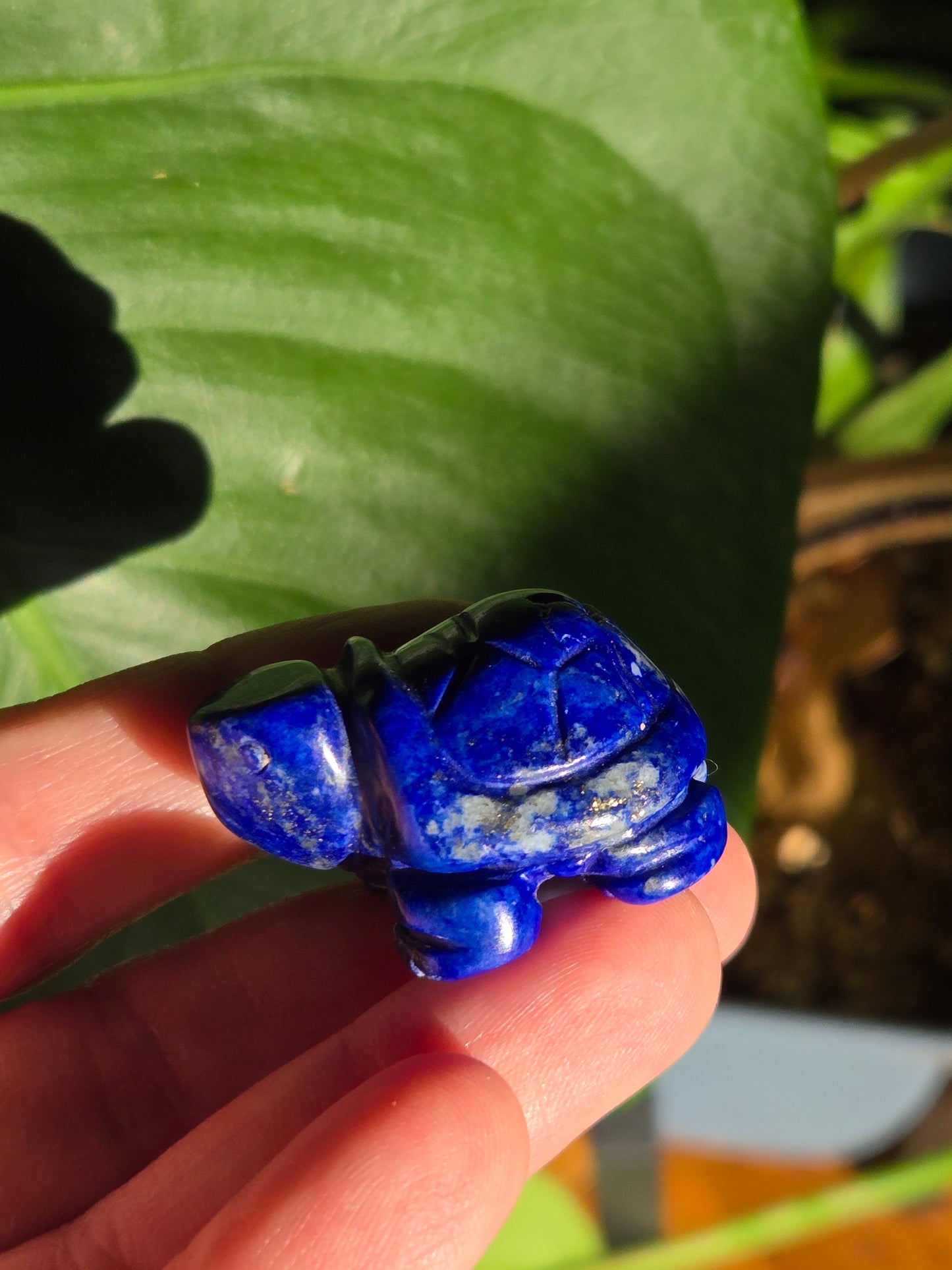 Sodalite Turtle Carving (B)