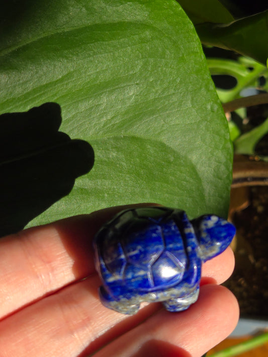 Sodalite Turtle Carving