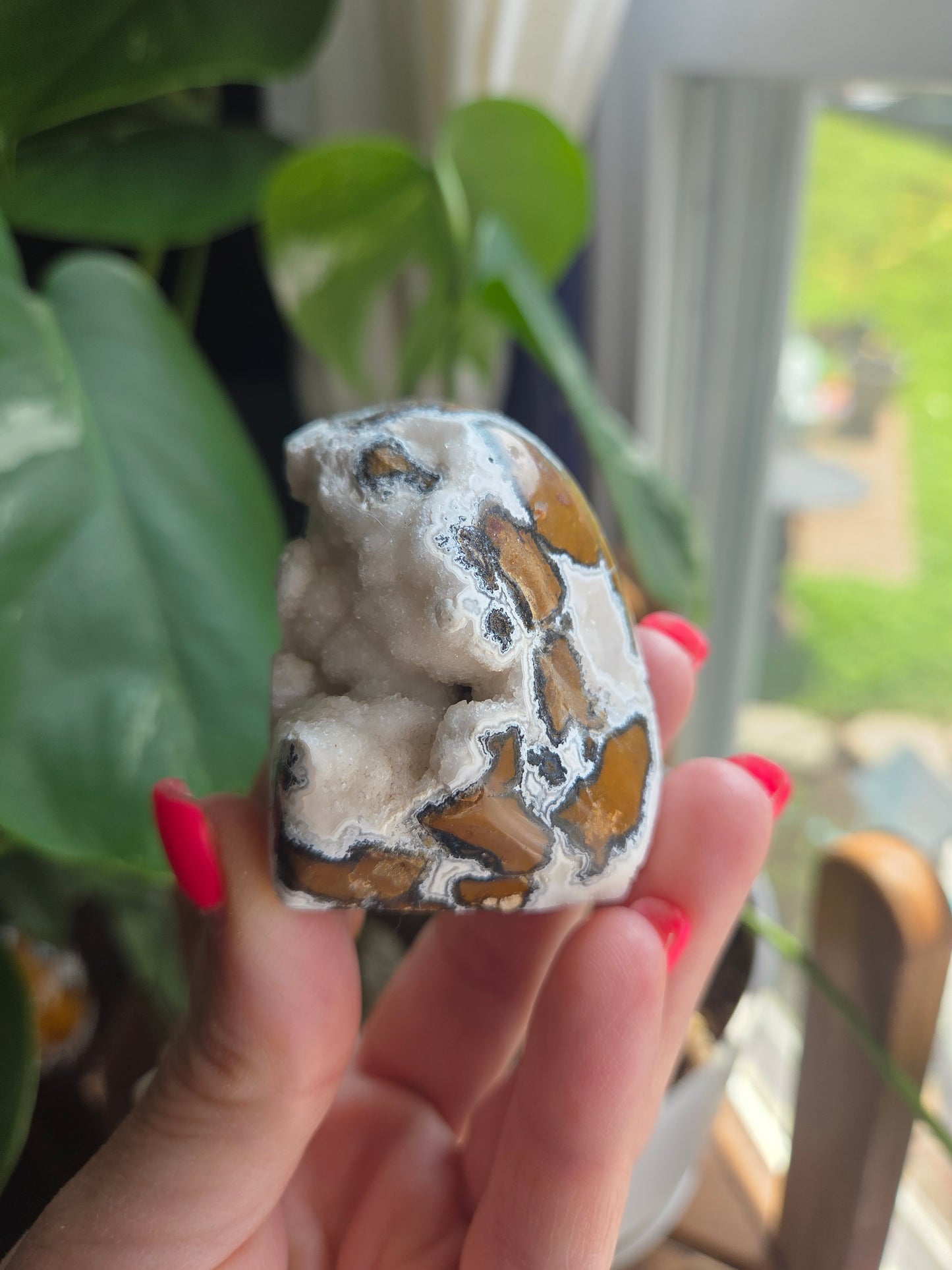 Brecciated Jasper Freeform