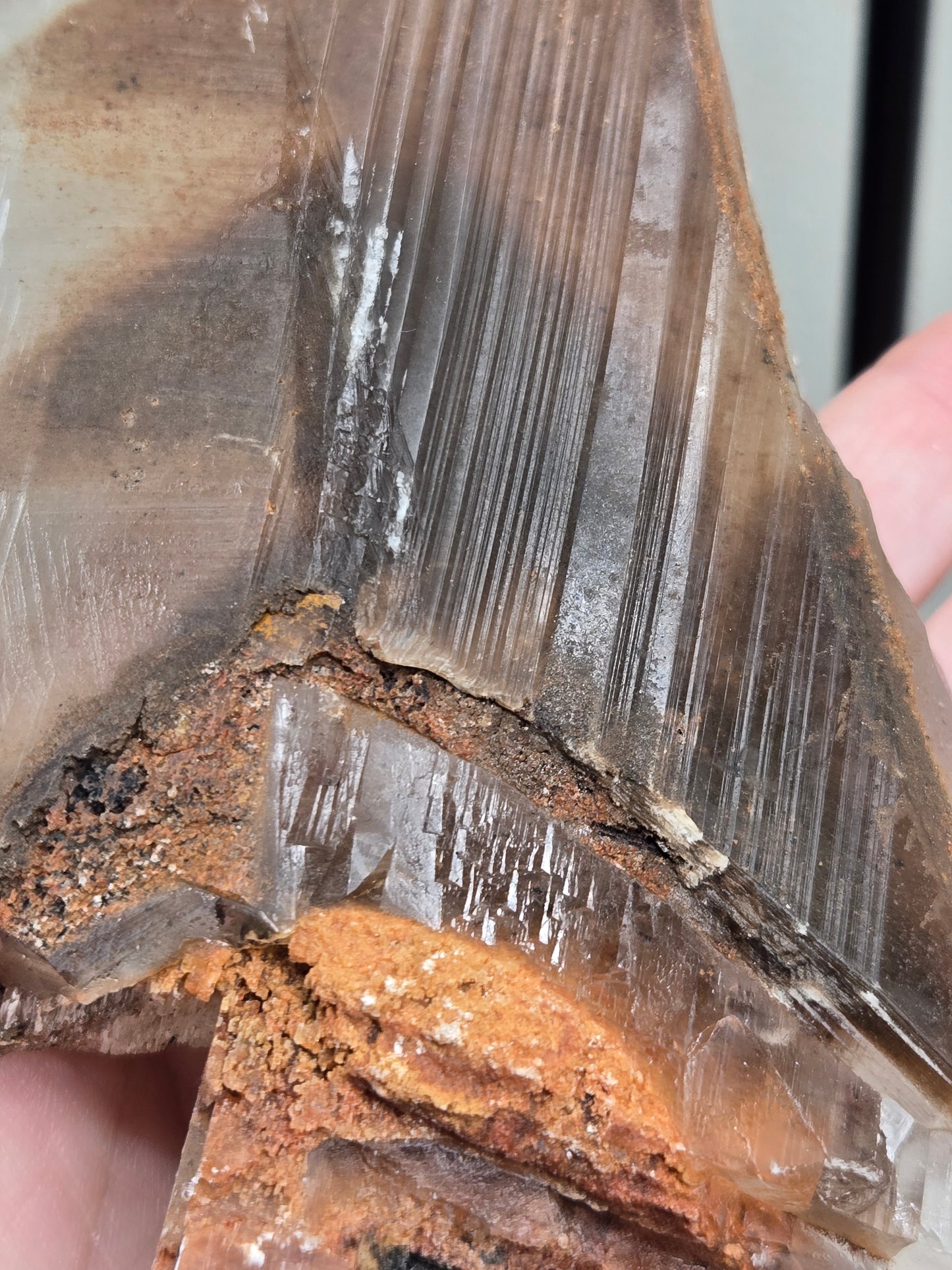 Phantom Selenite