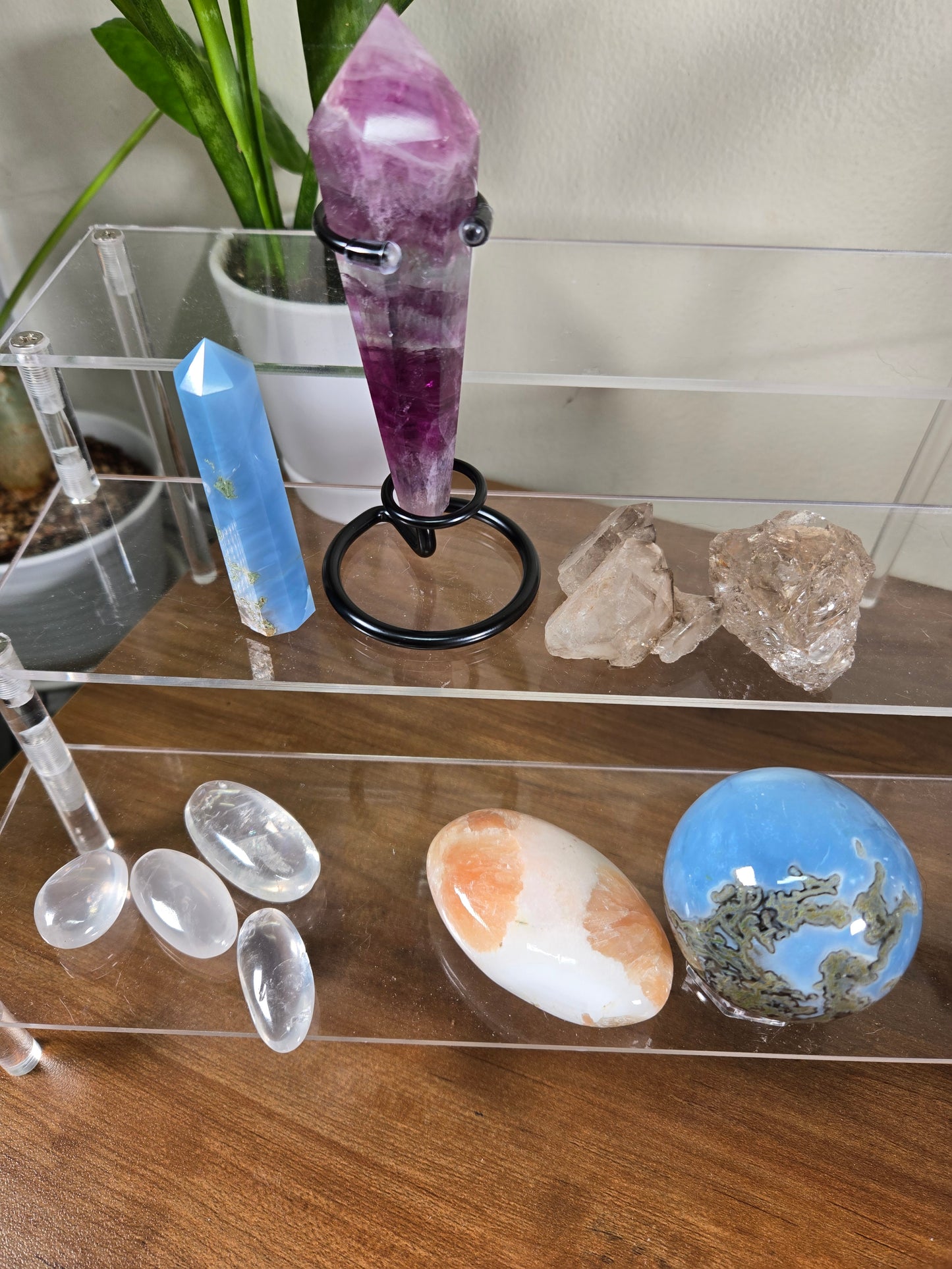 Live Sale thestarr141