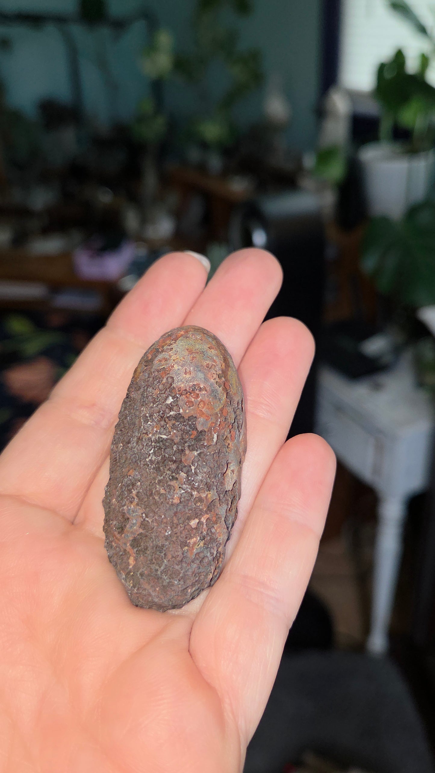 Coyamito Agate Geodes from Mexico