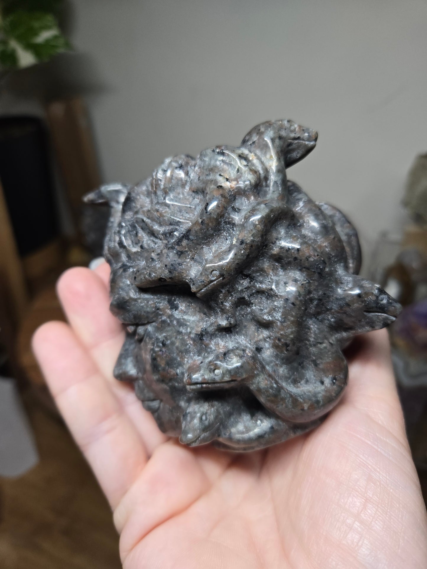 Medusa Head Yooperlite