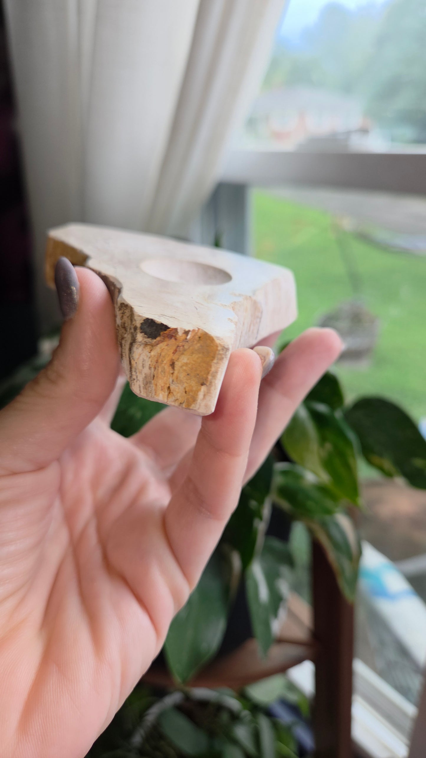 Petrified Wood Sphere Holder (12b)