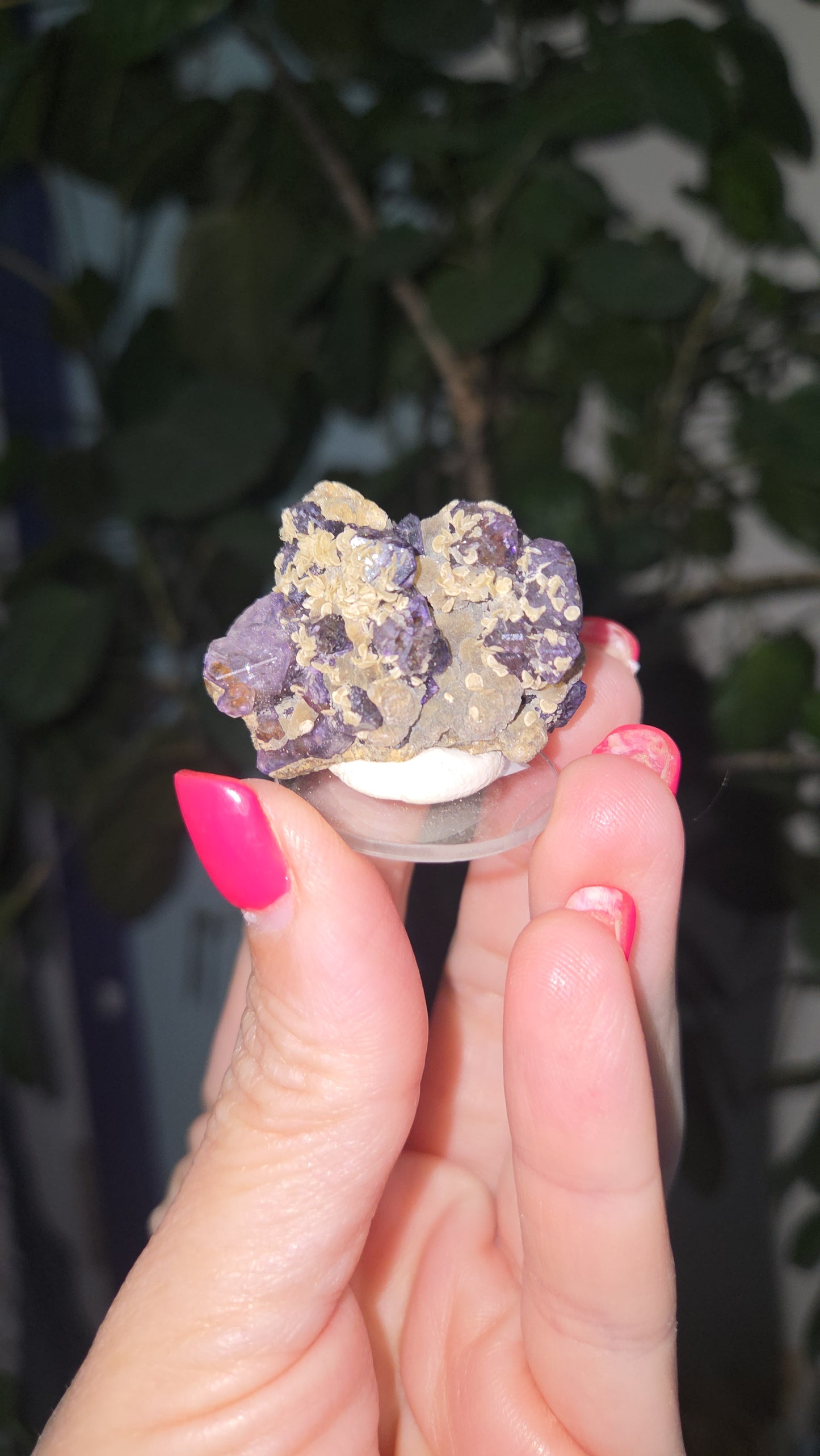 The Blooming Agate
