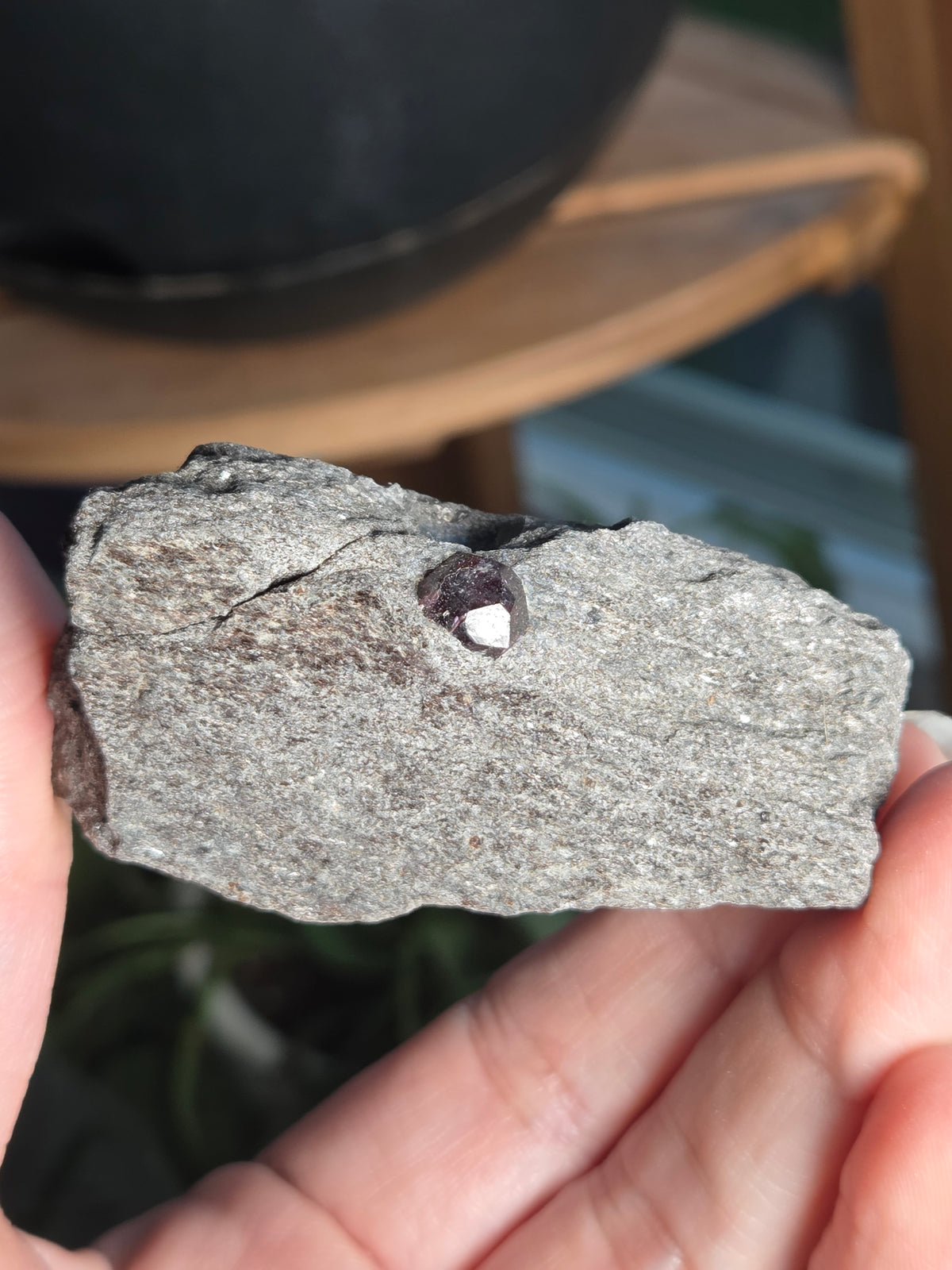 Alaskan Garnet