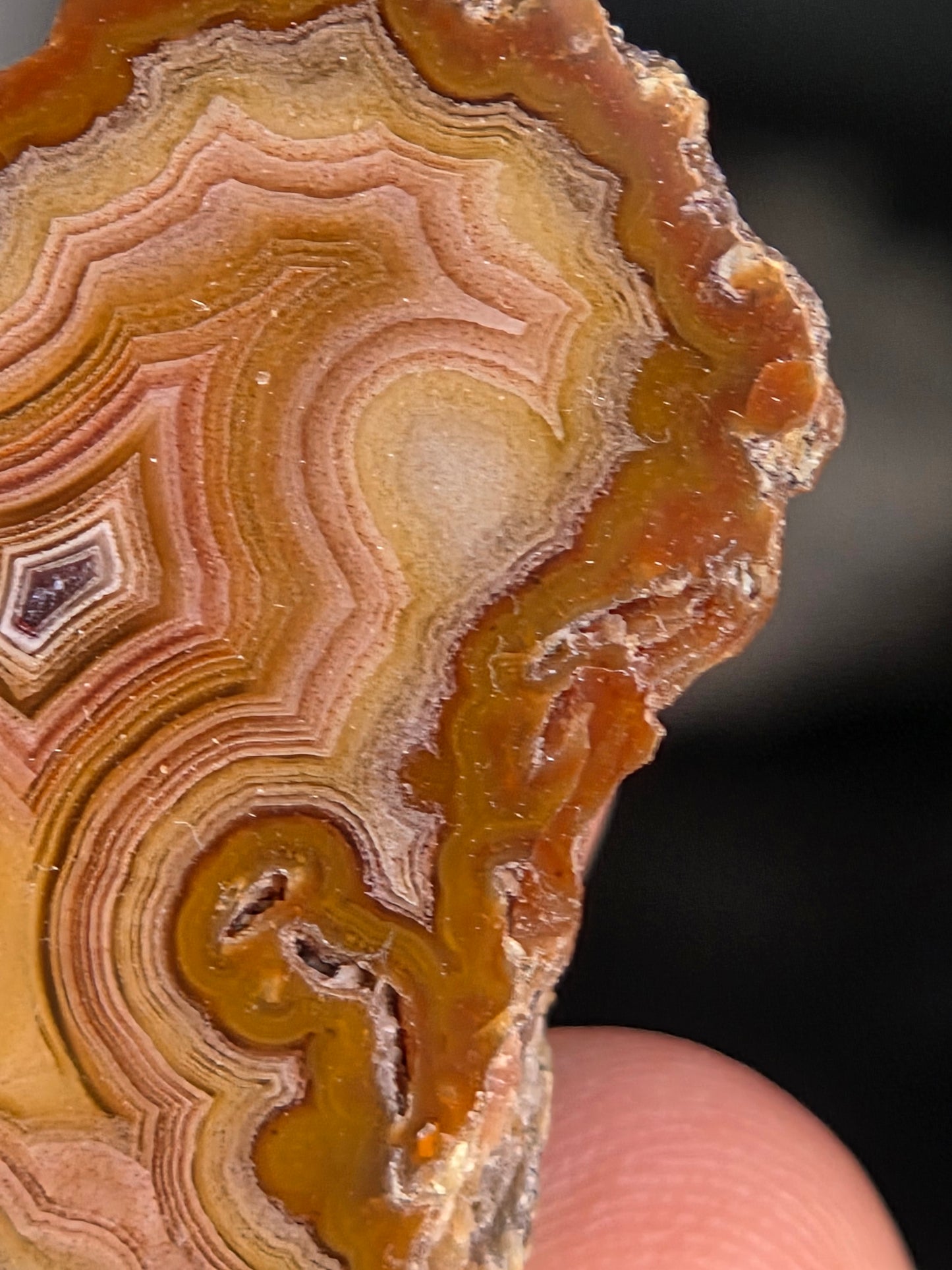 Laguna Agate