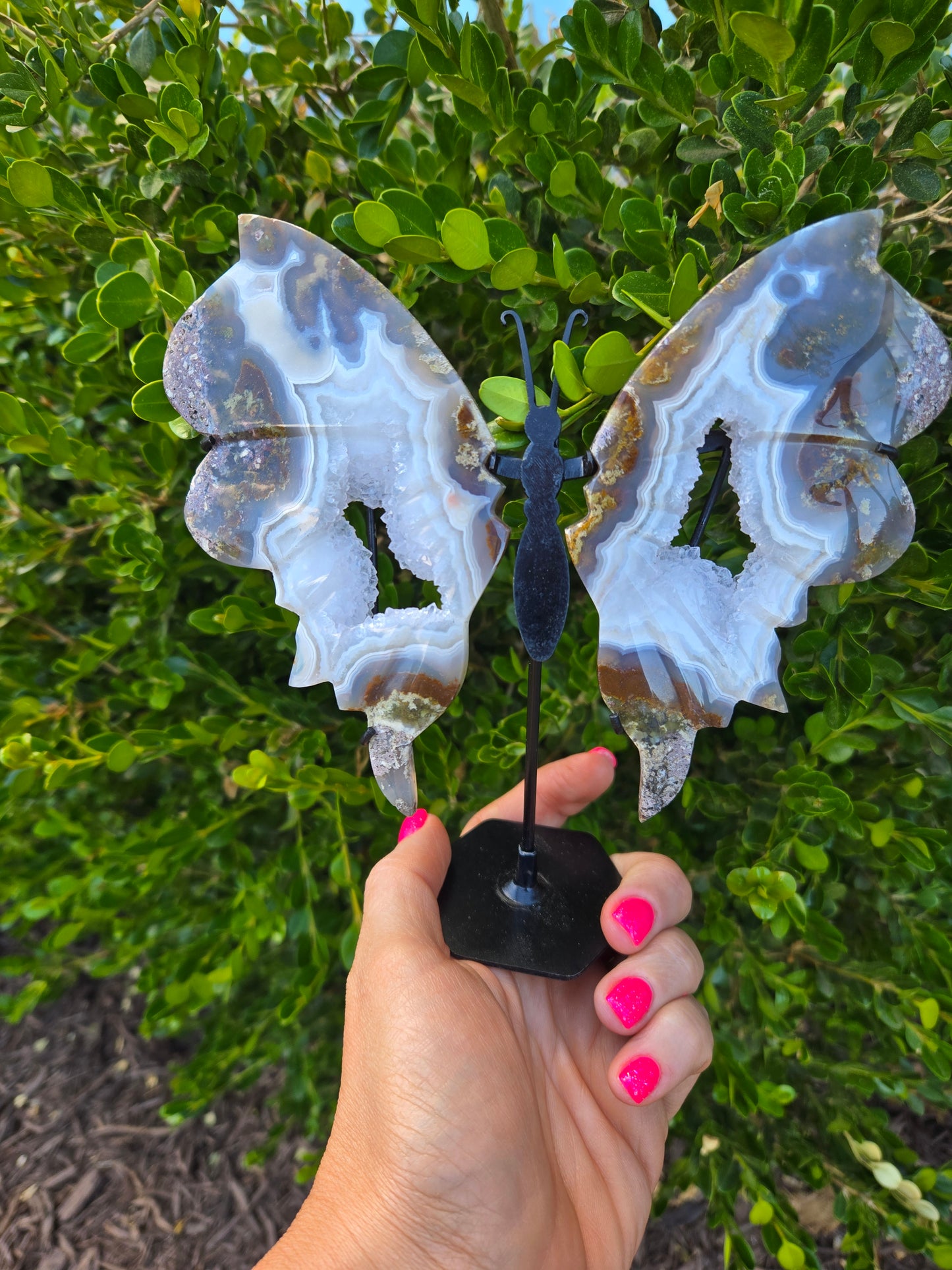 Scenic Moss Butterfly Wings 🦋