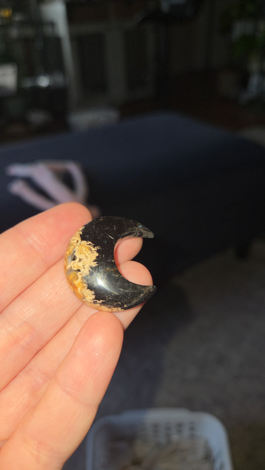 Comment to Claim Emma