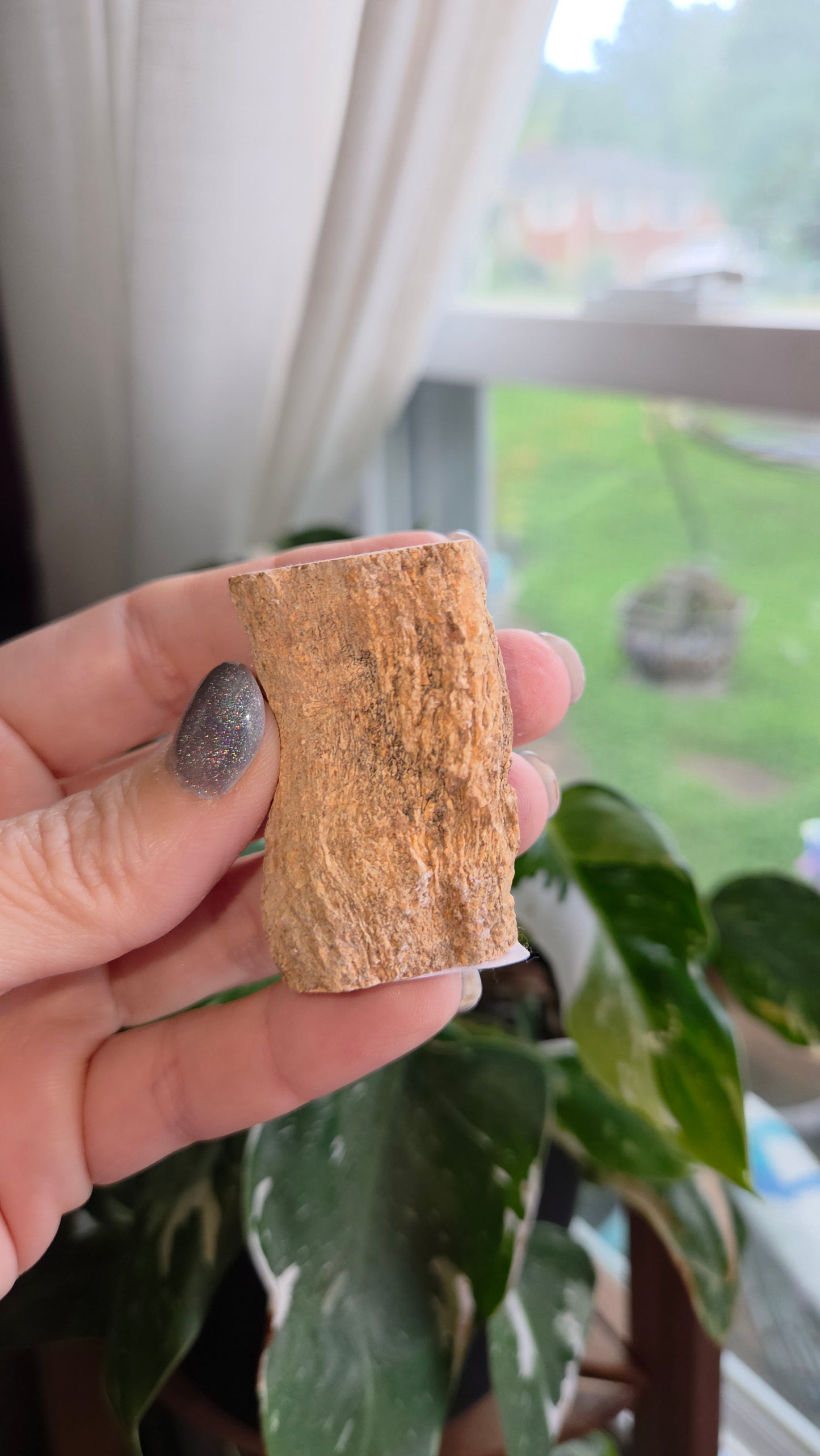 Petrified Wood Log (10t)