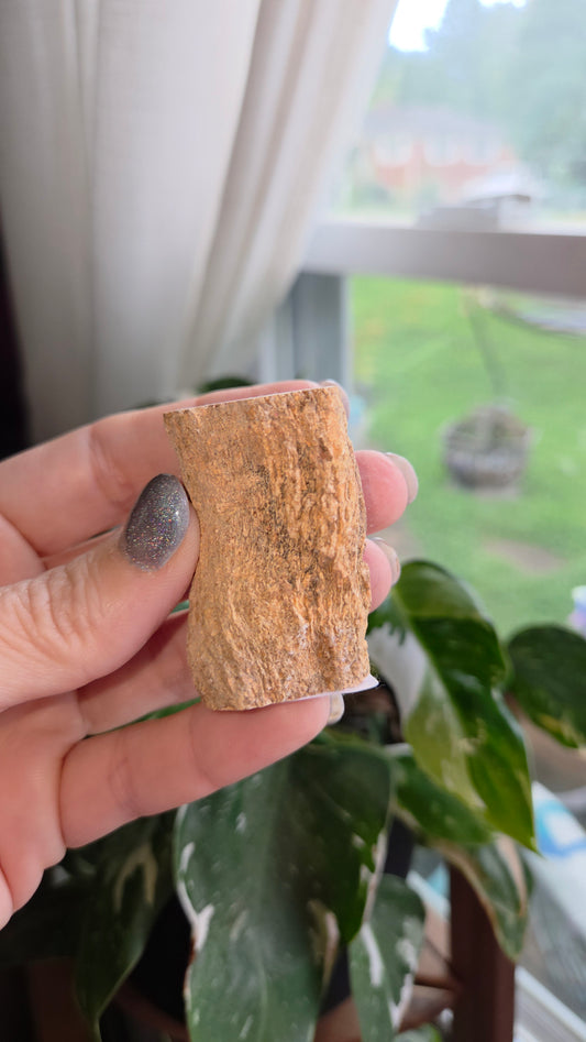 Petrified Wood Log (10t)