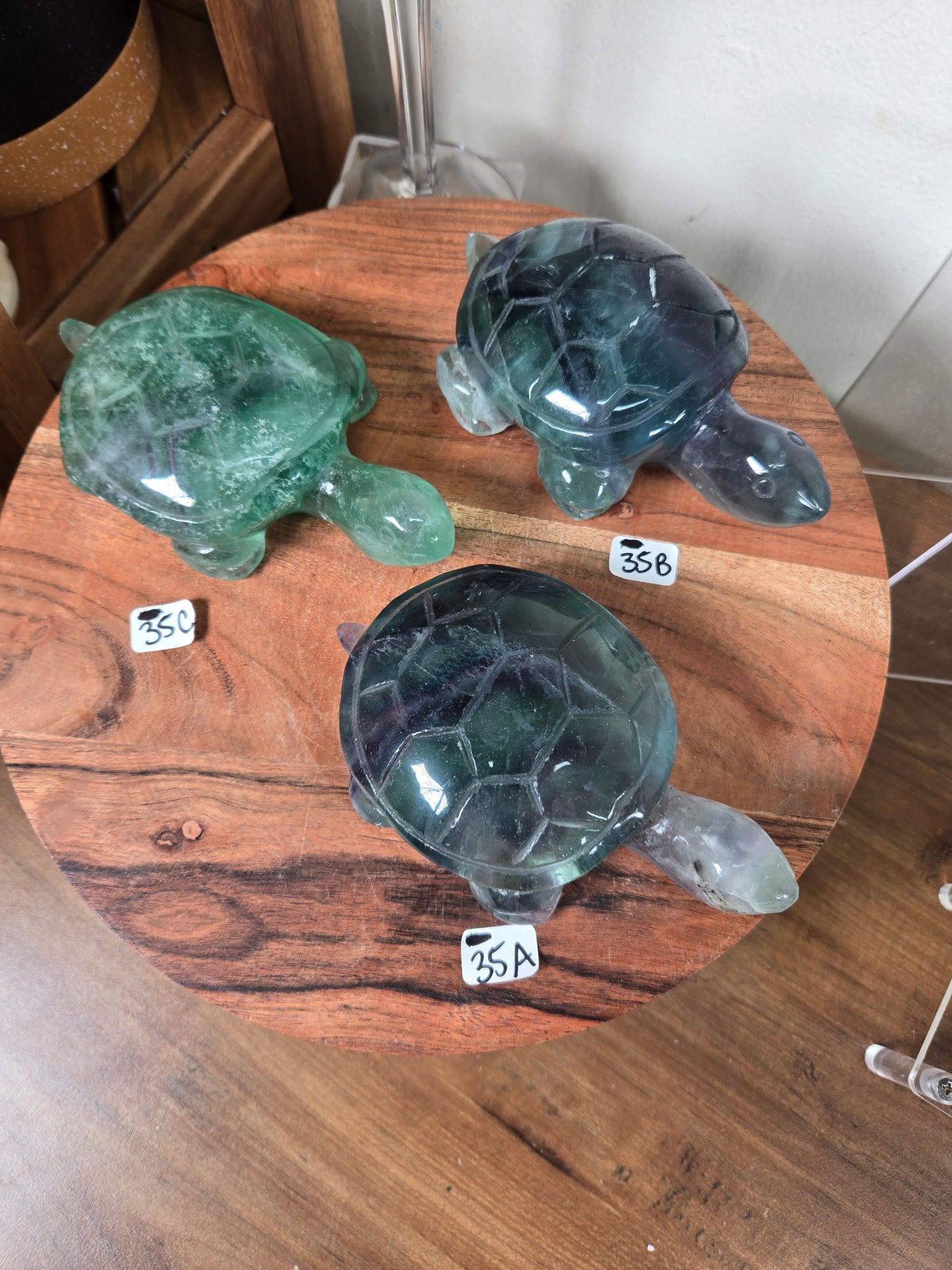Fluorite Turtles