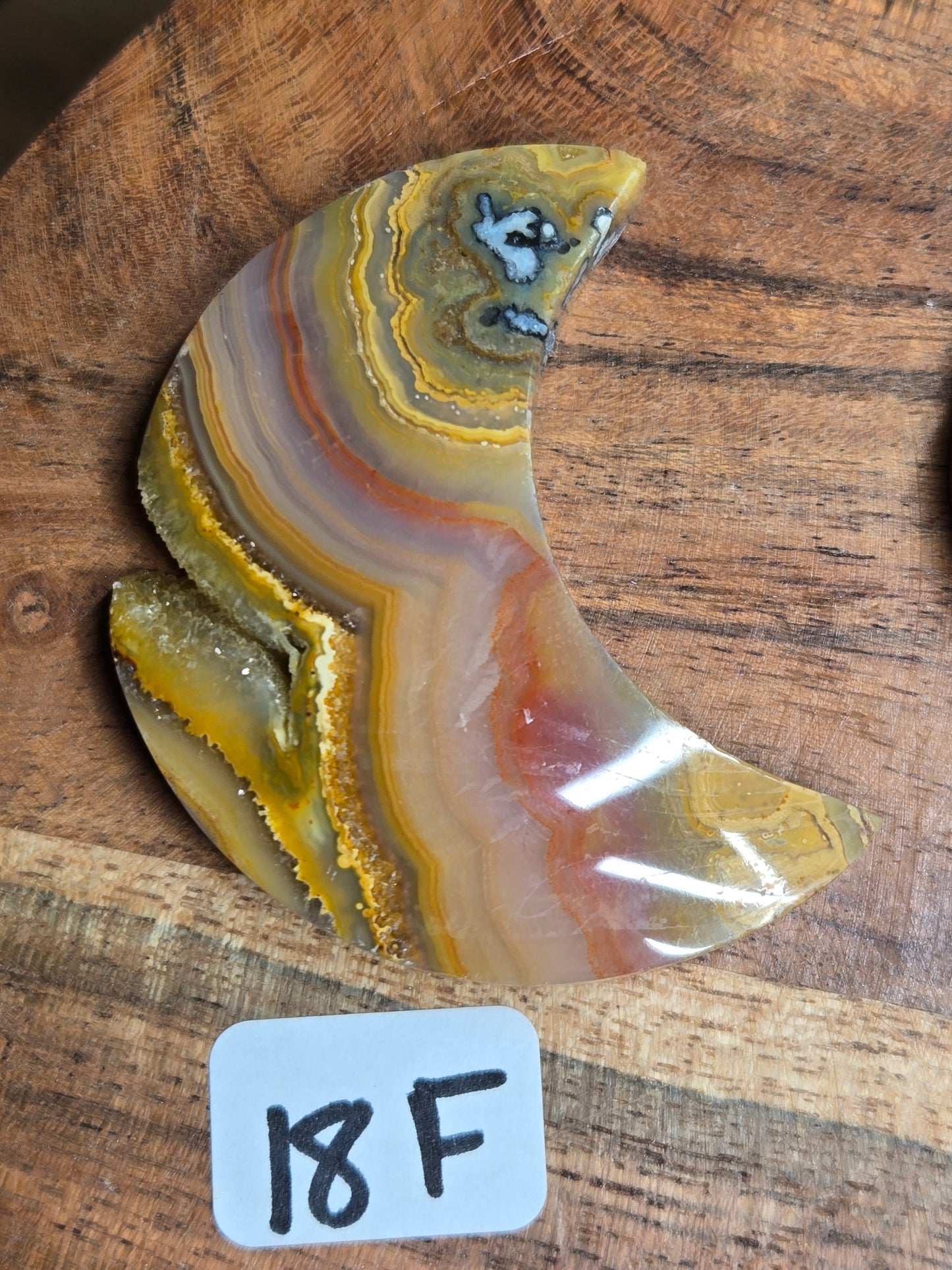 Mexican Crazy Lace Moons