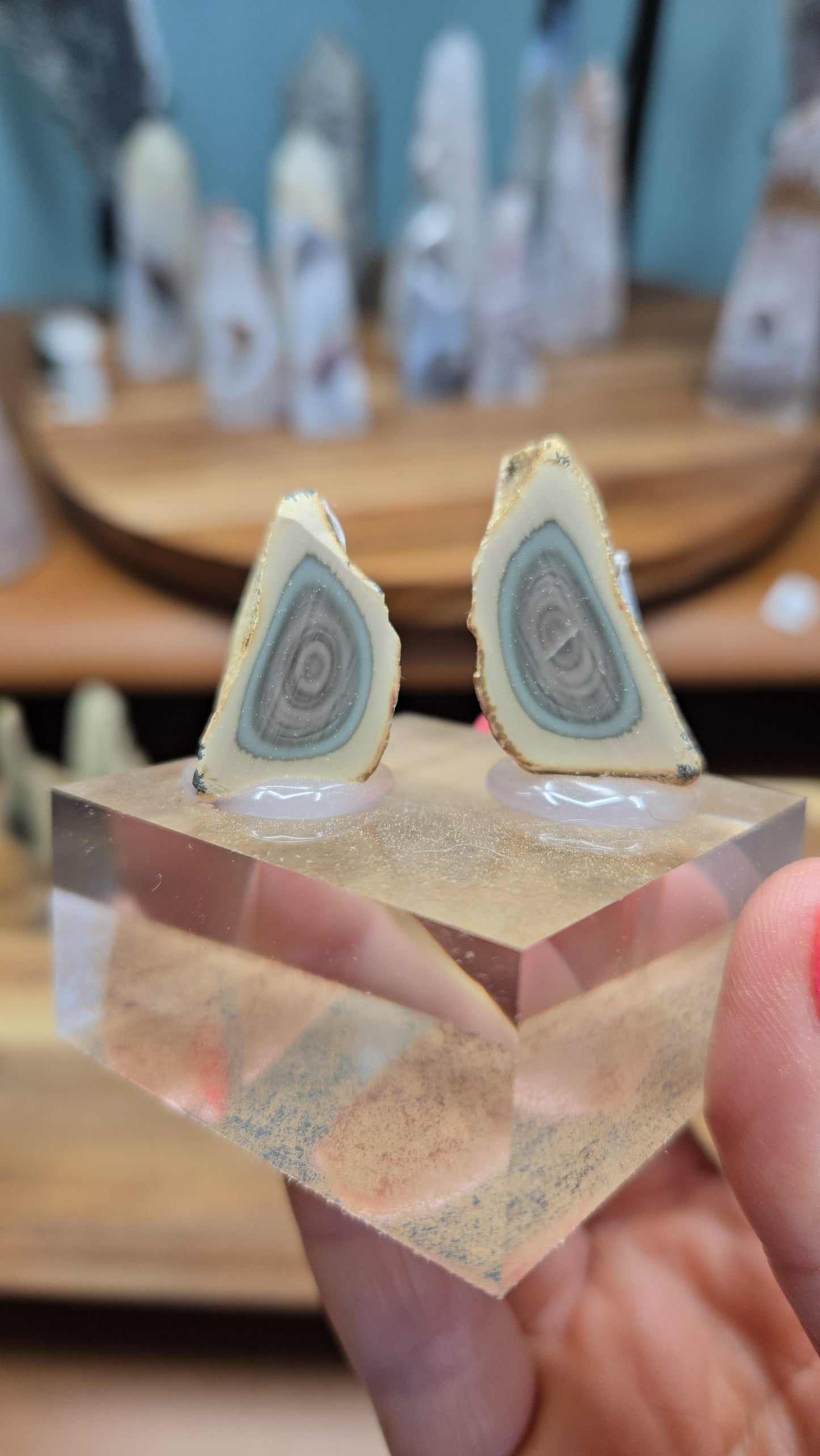 Imperial Jasper (Mexico)