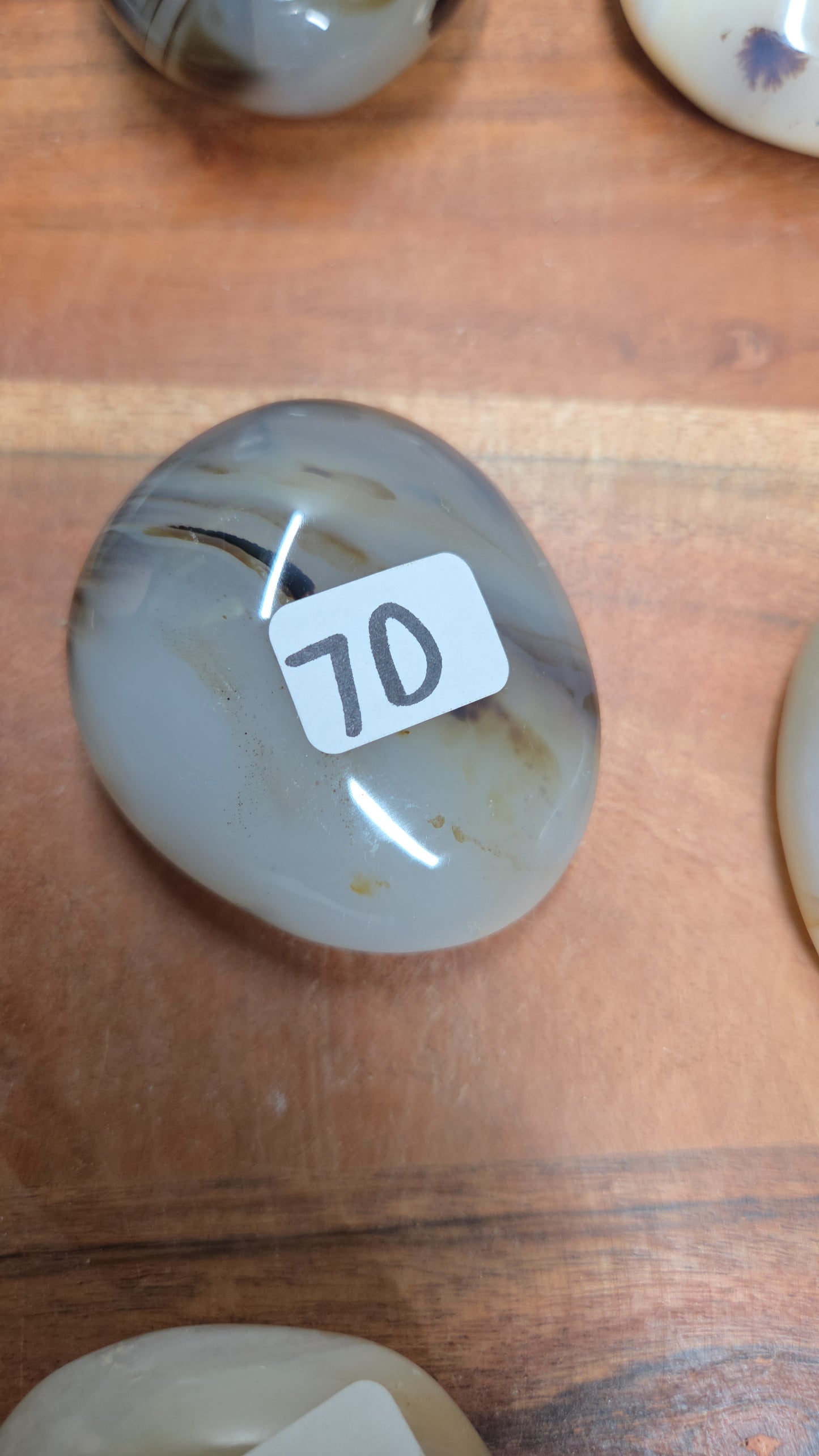 Dendritic Agate Palms