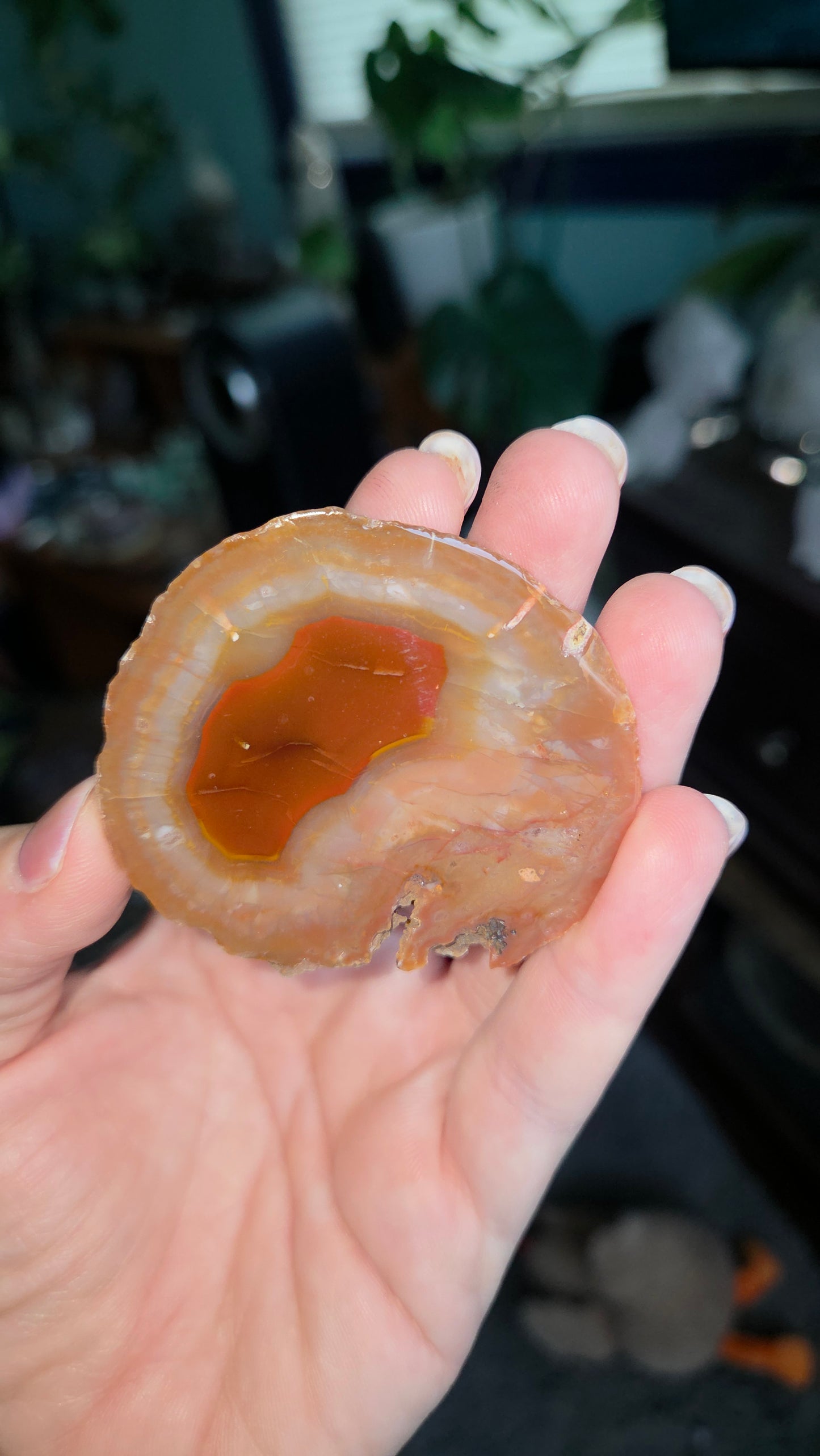 Coyamito Agate Geodes from Mexico