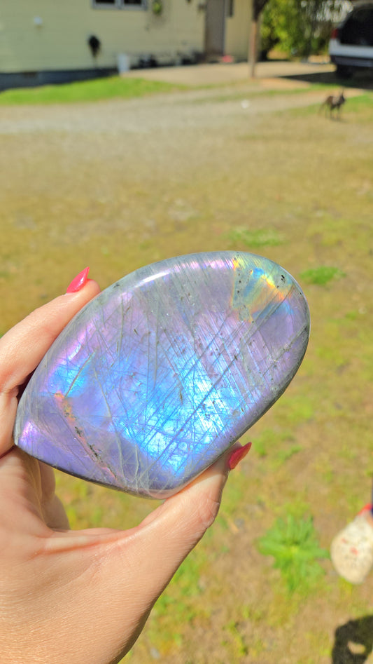 Live Sale Allynpounce ✨️