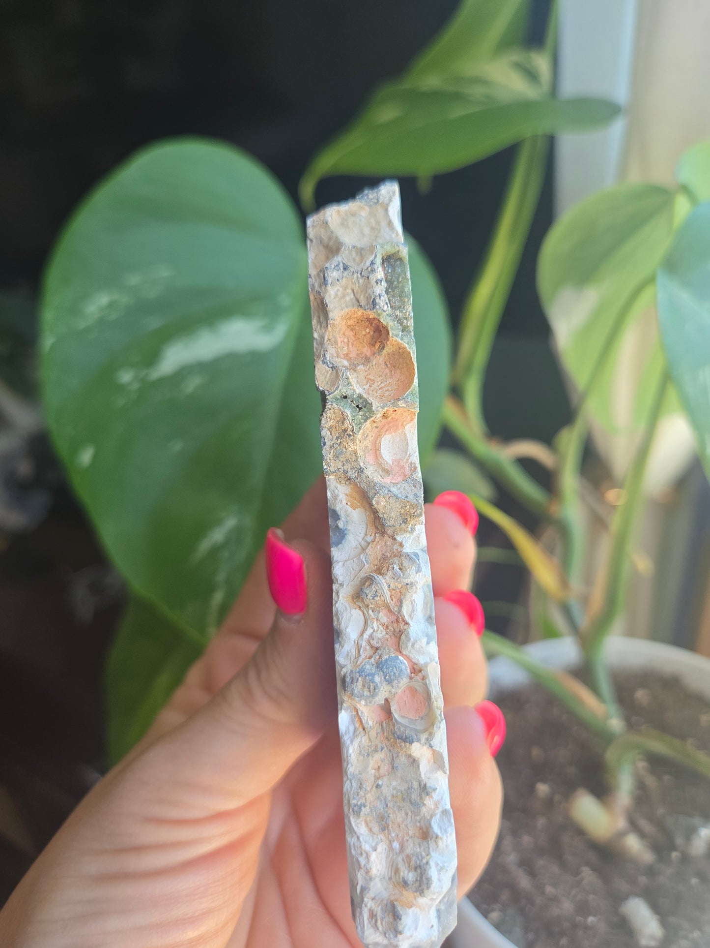 OJ slab (8th vein)