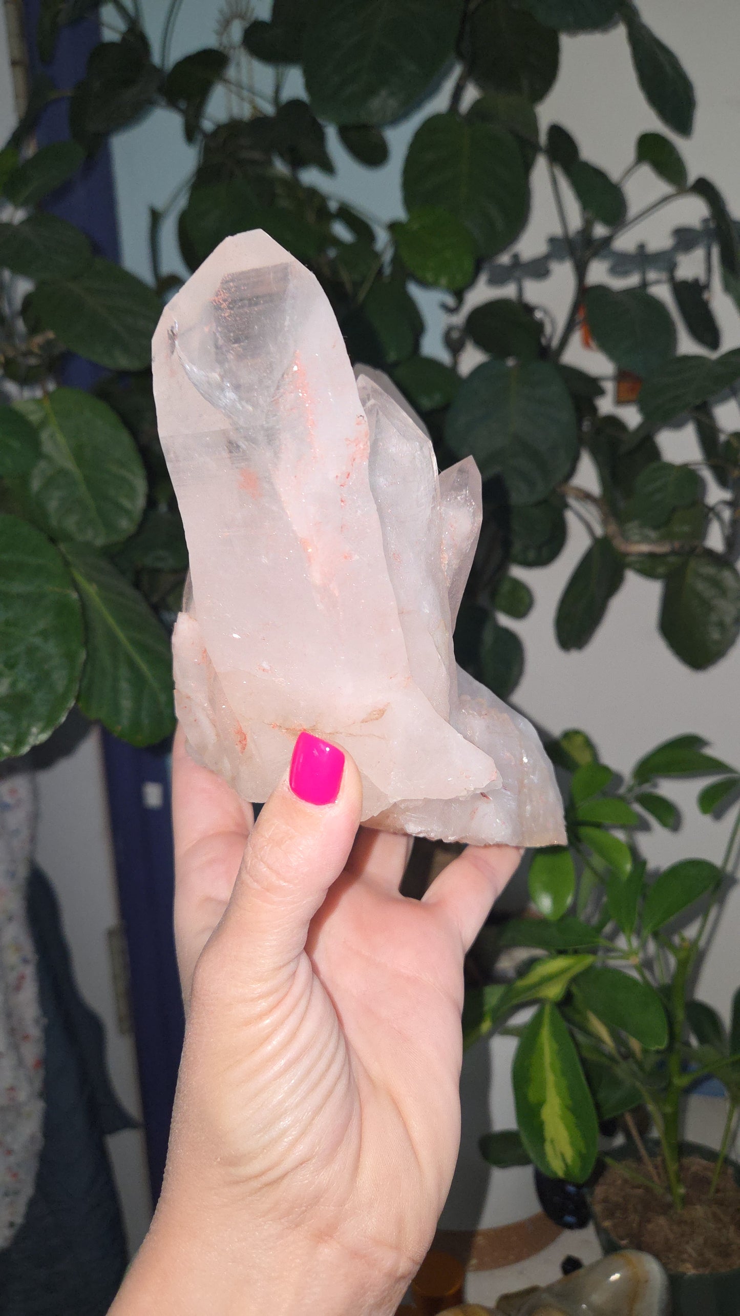 Pink Himalayan Collectors Quartz