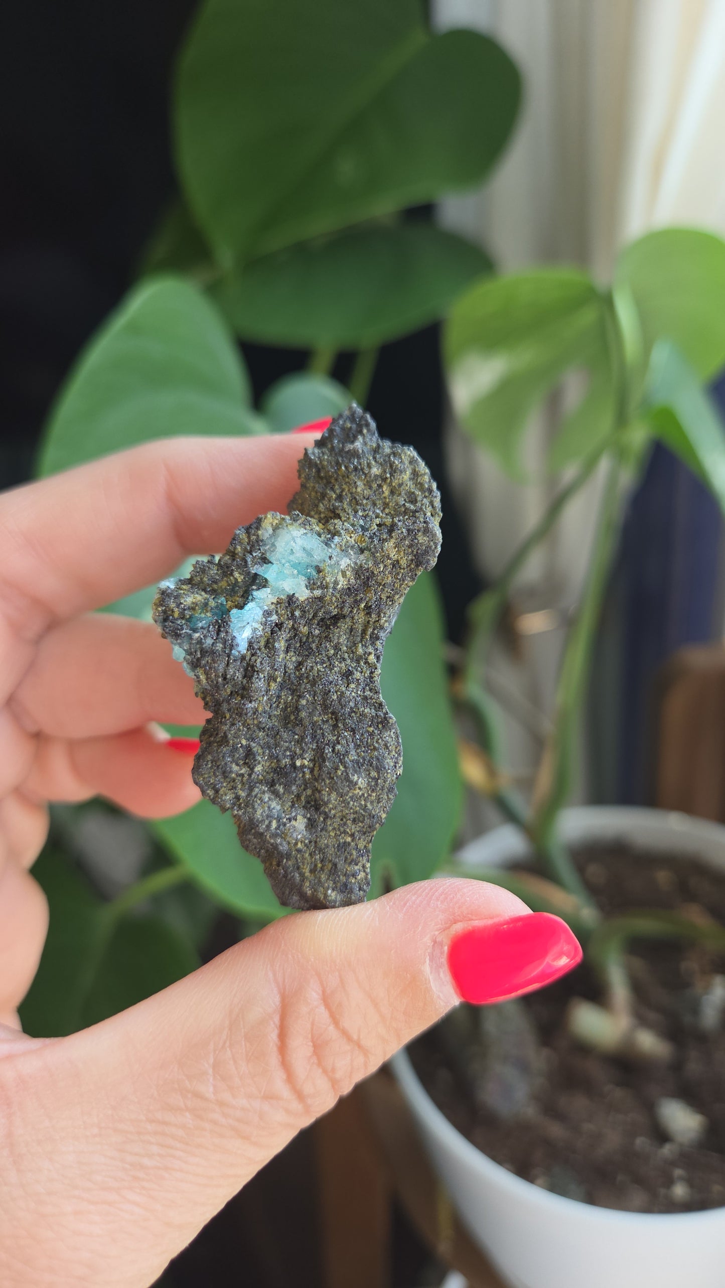 Borcarite