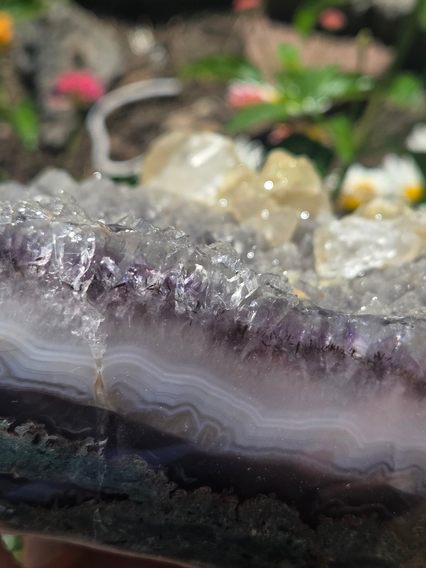 Sugar Amethyst Freeform (self stands)