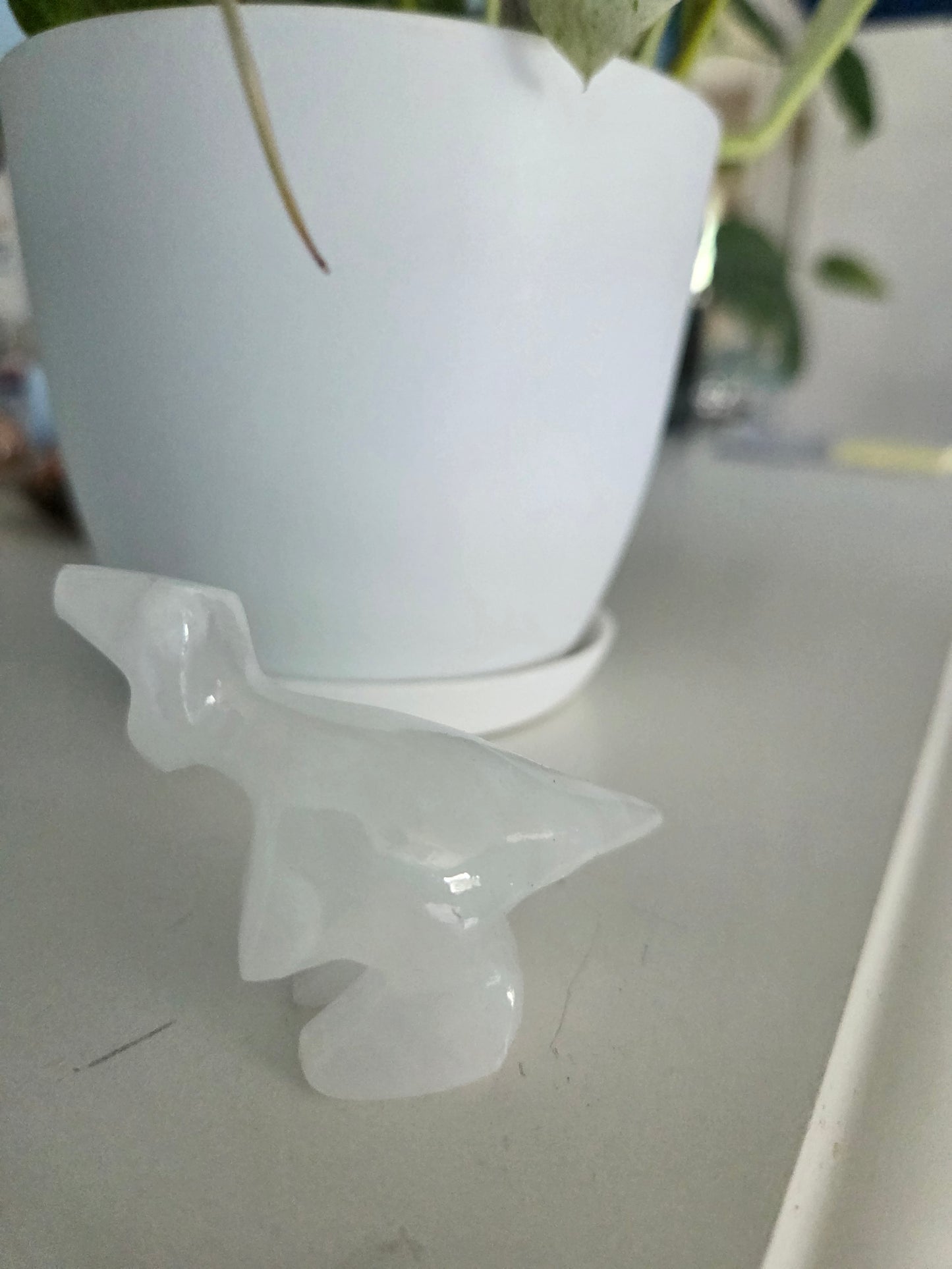 Dino (onyx)(M)