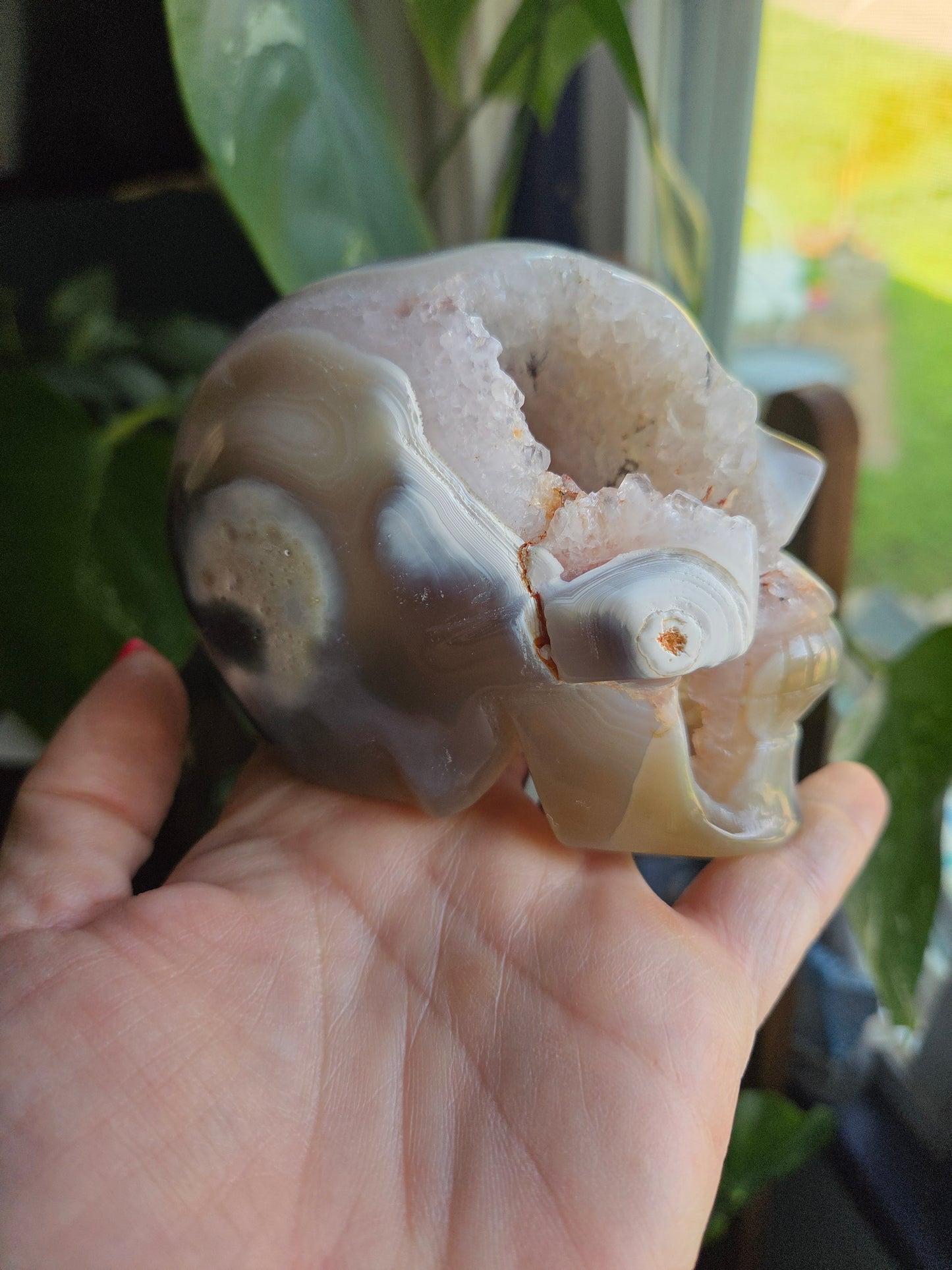 Dendritic Agate Skull