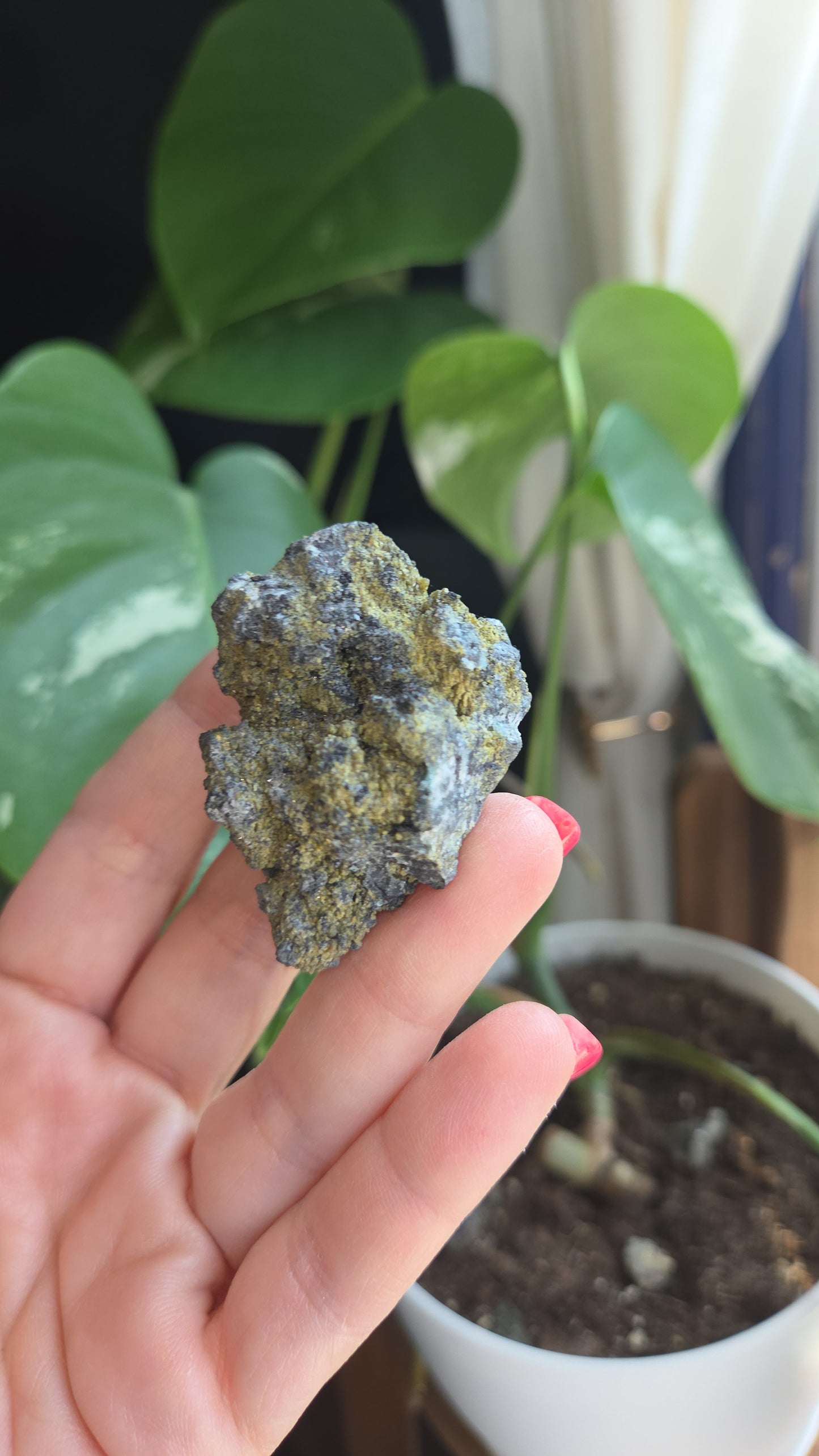 Borcarite