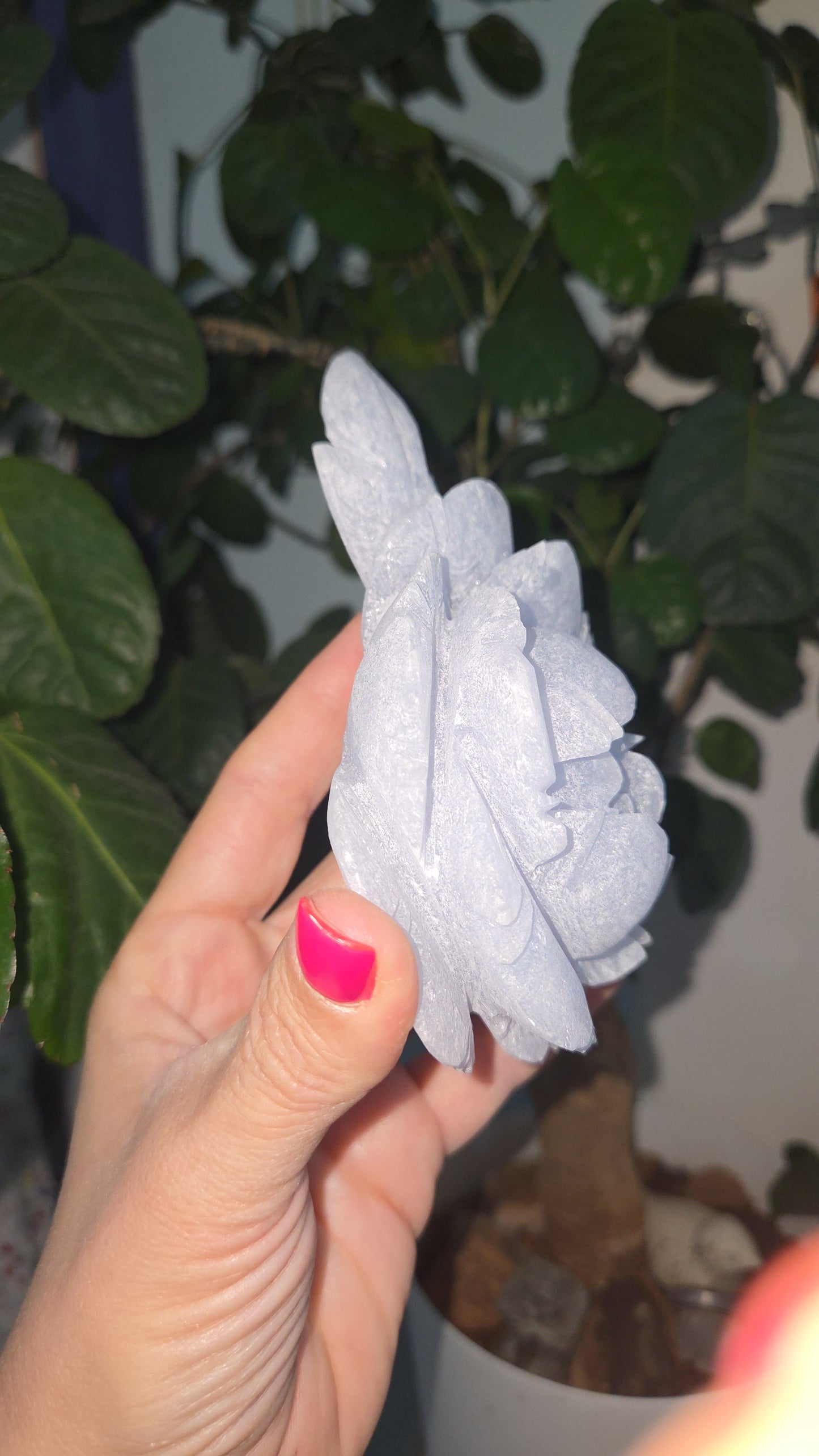 Angelite Peony