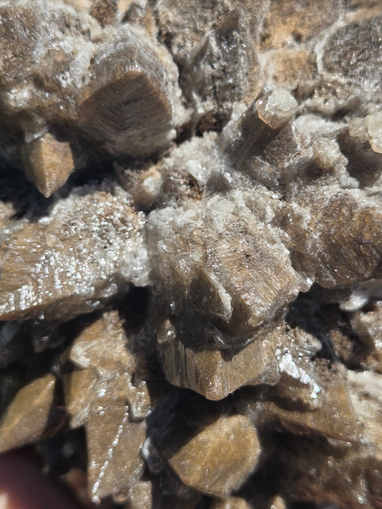 Dogtooth Calcite with Secondary Selenite Coating (Mexico)