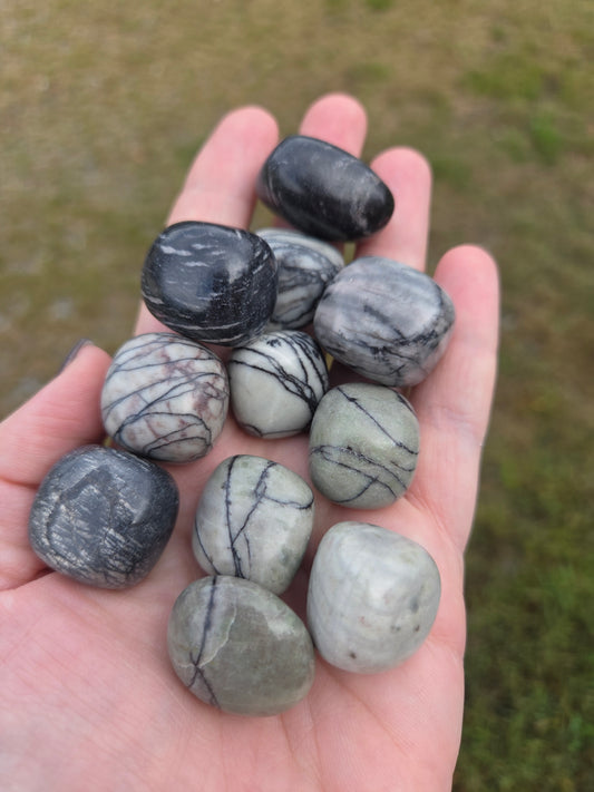 Network Stone ( Spiderweb Jasper)