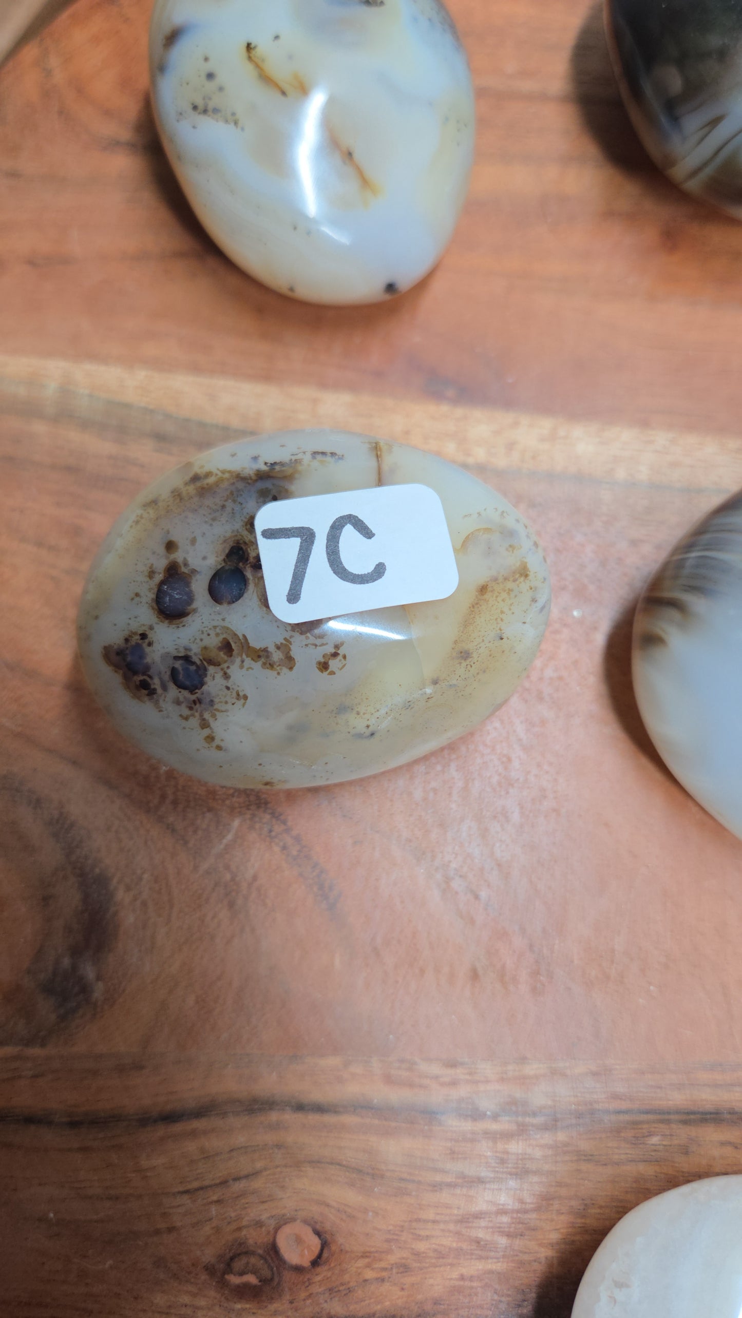 Dendritic Agate Palms