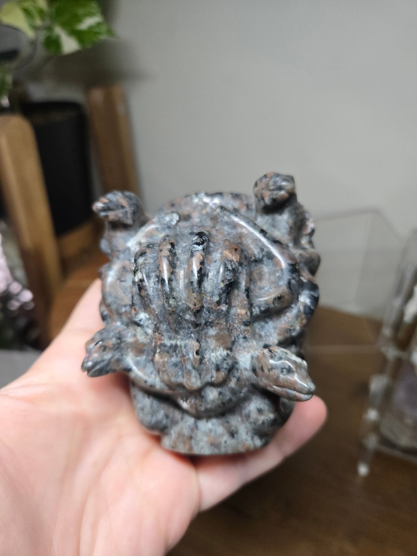 Medusa Head Yooperlite