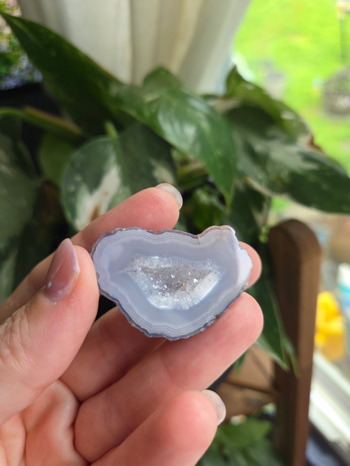 Coyamito Agate Geodes from Mexico