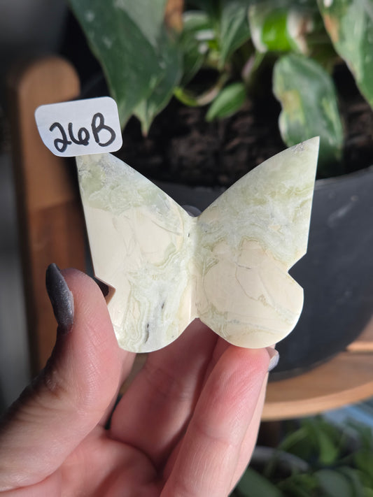 3D Green Maligano Butterfly