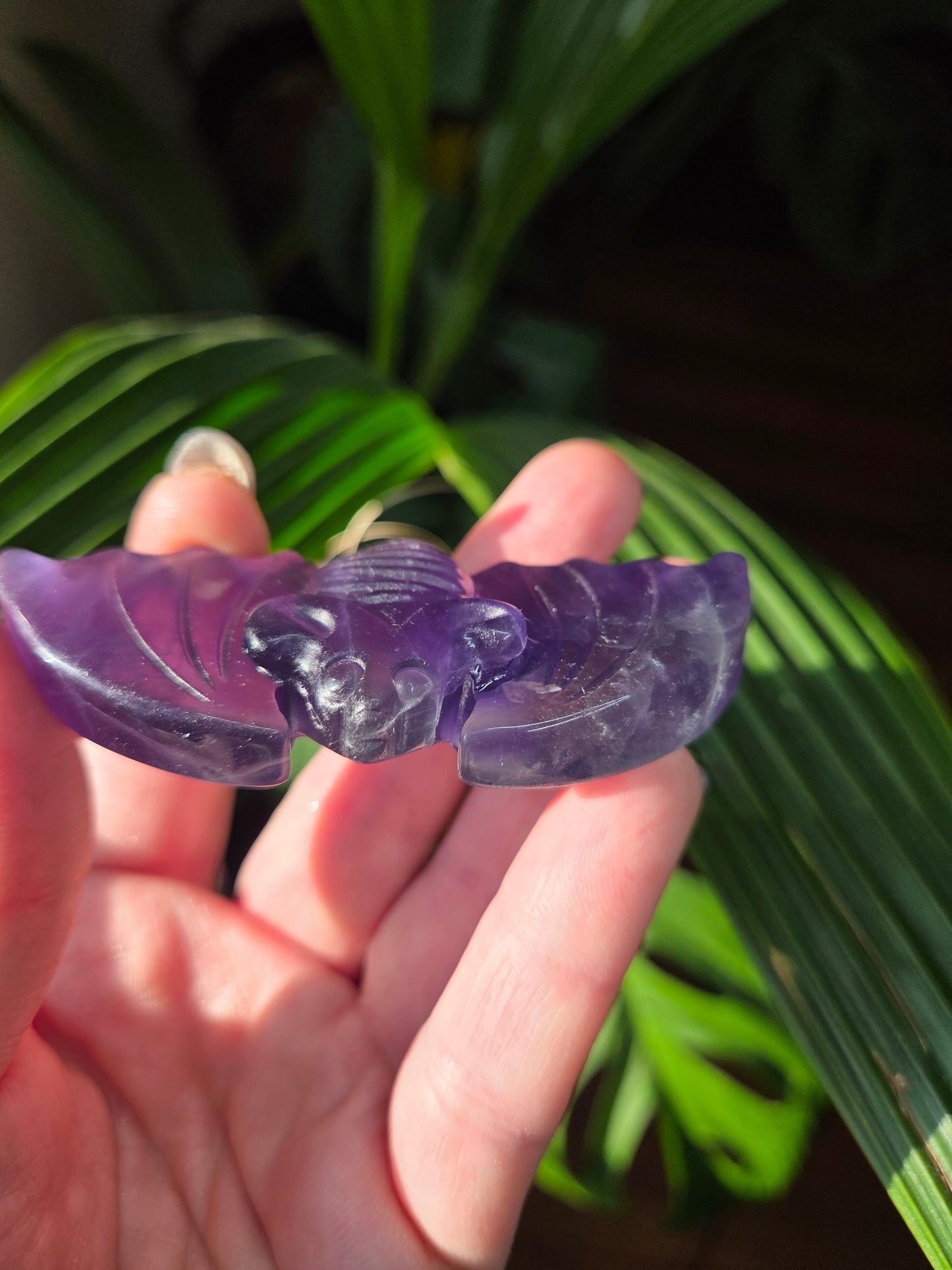 Fluorite Bat