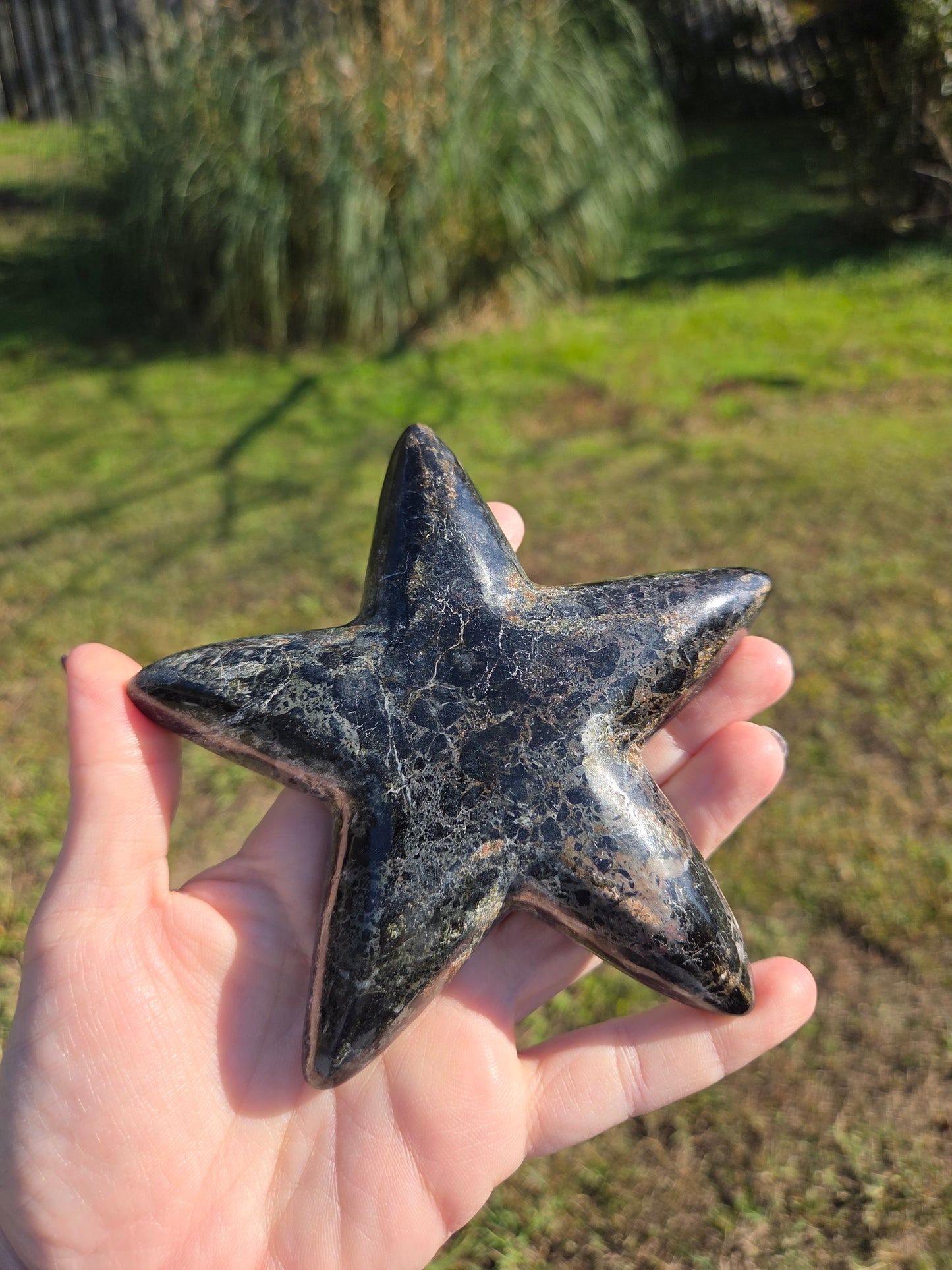 Starfish Bowl