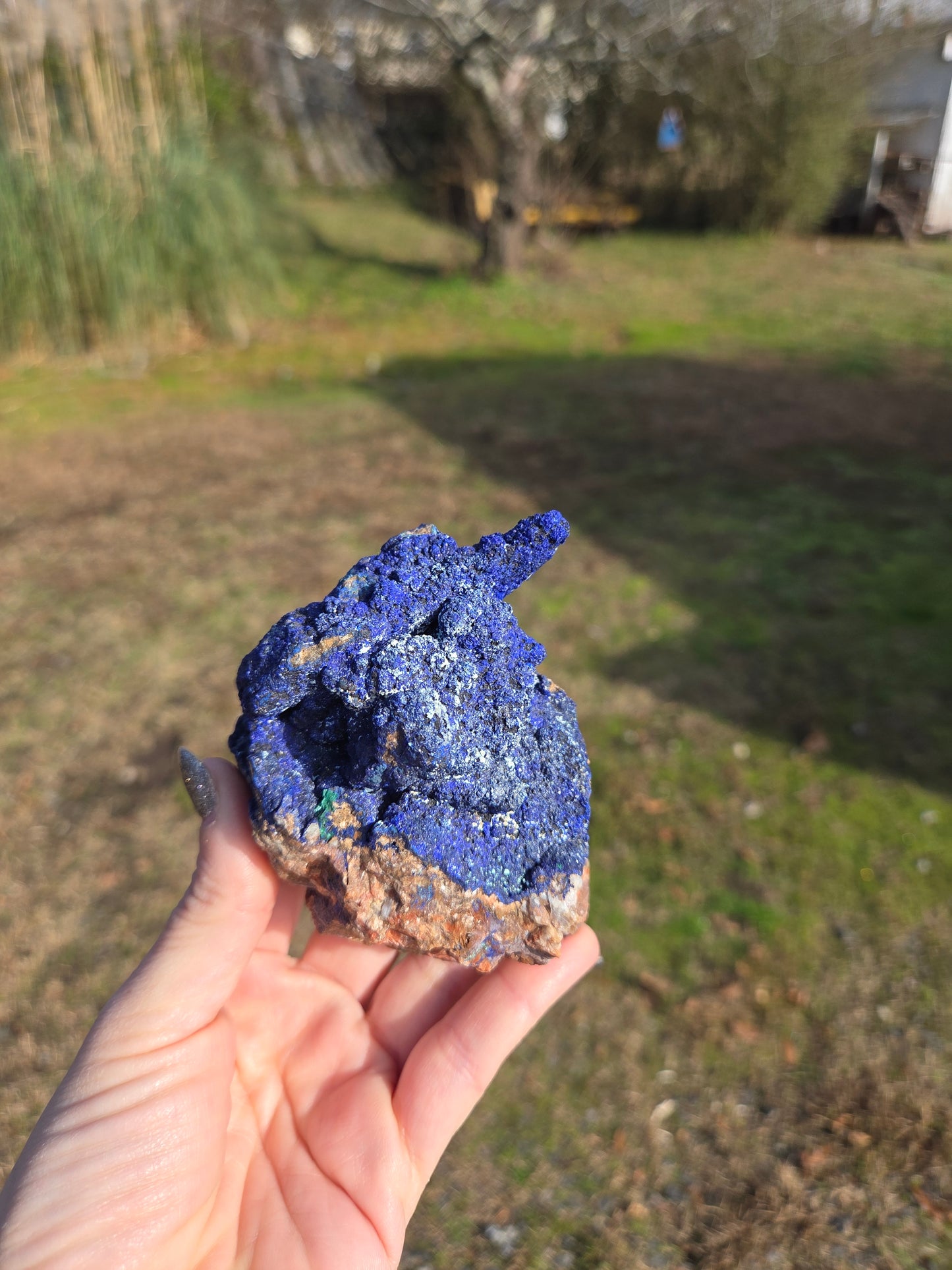 Azurite from Morocco