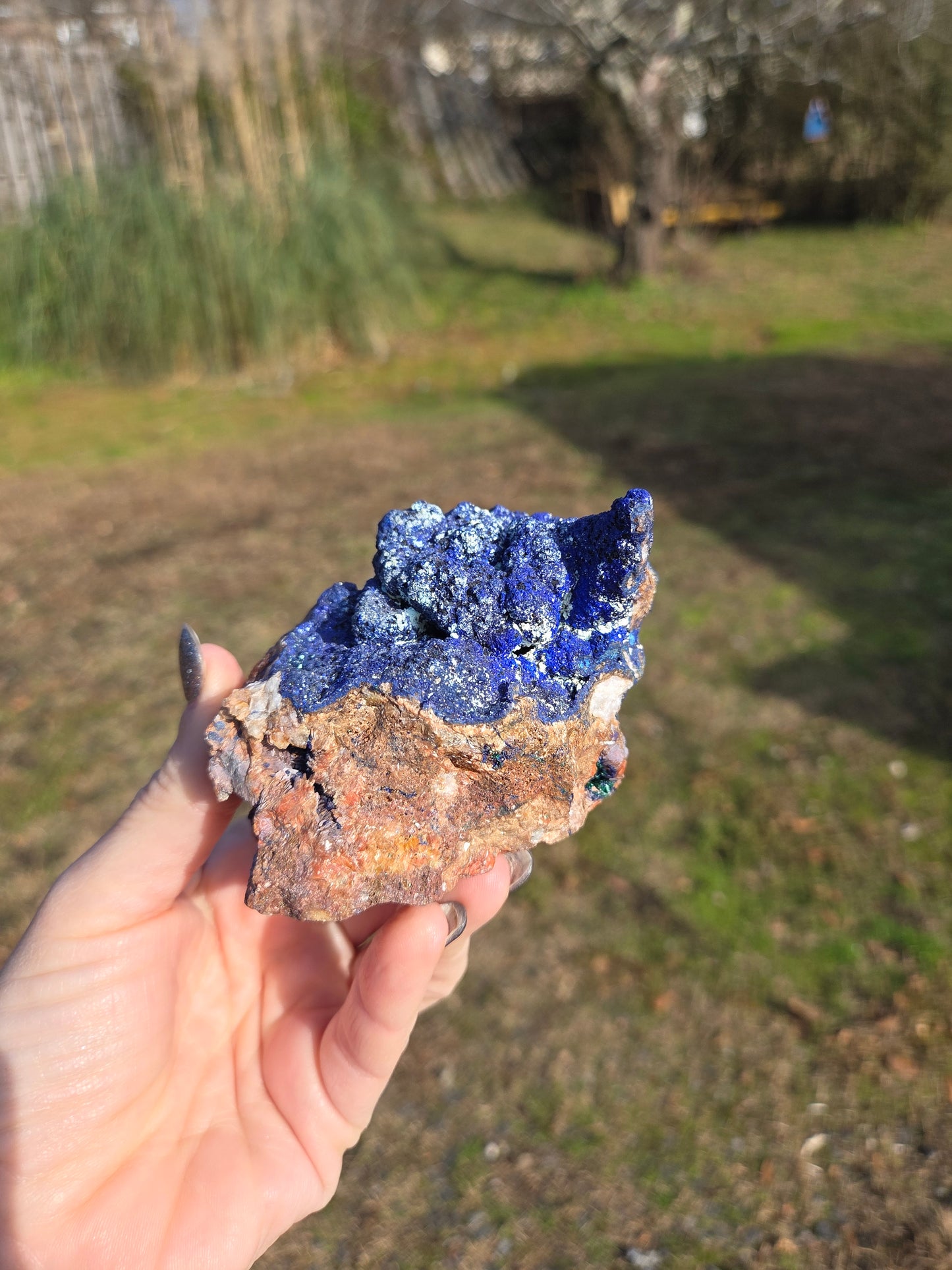 Azurite from Morocco