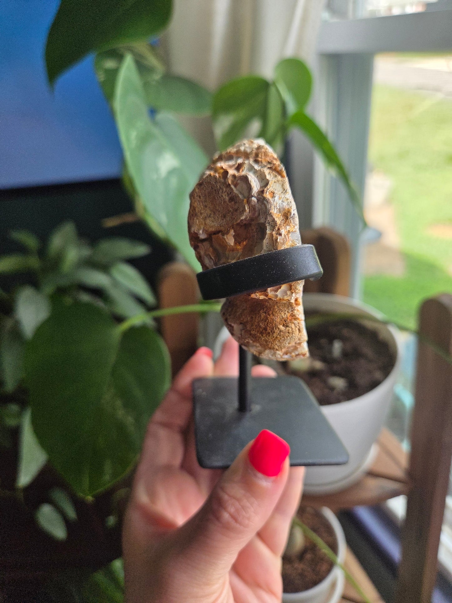 Butterfly Geode