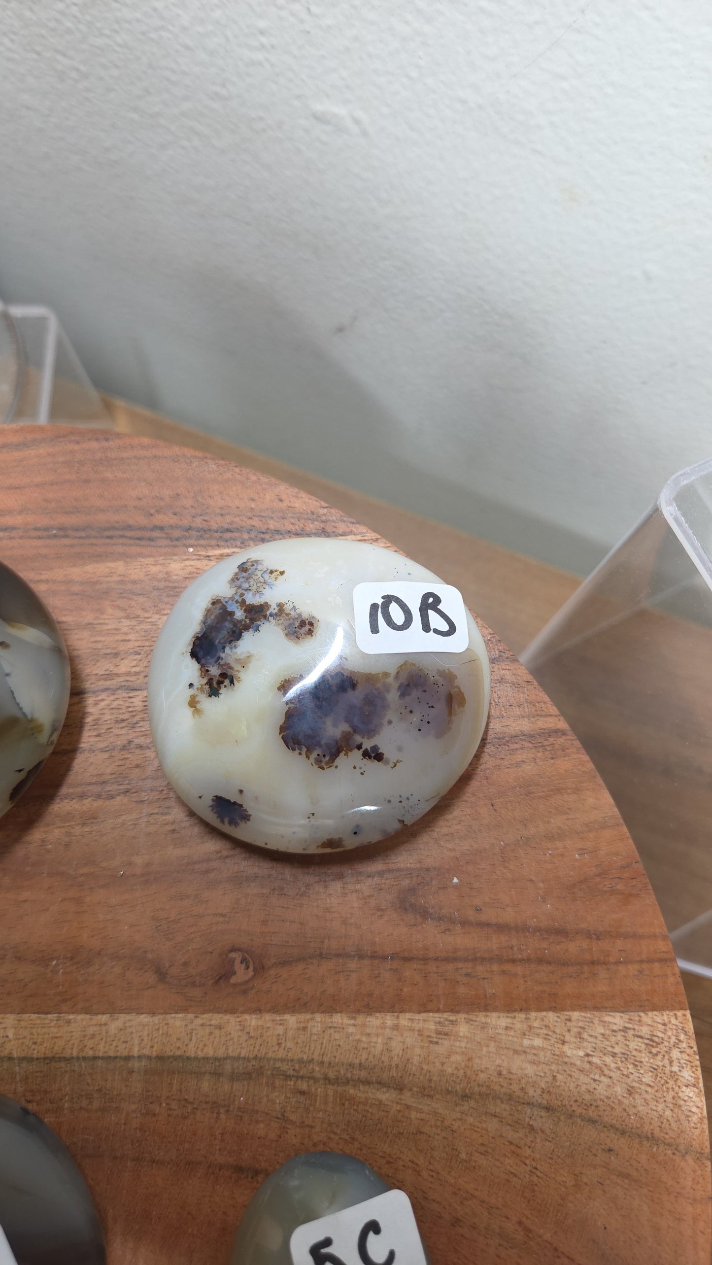 Dendritic Agate Palms