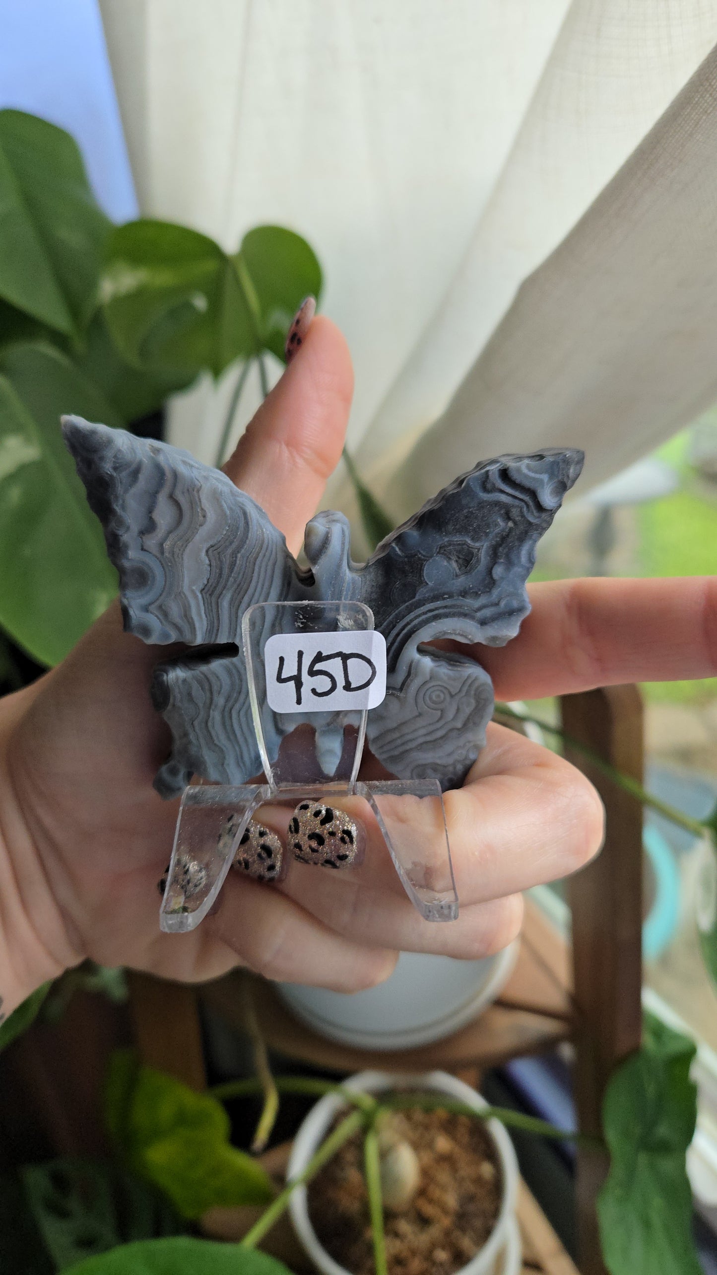 Gobi Agate Butterflies
