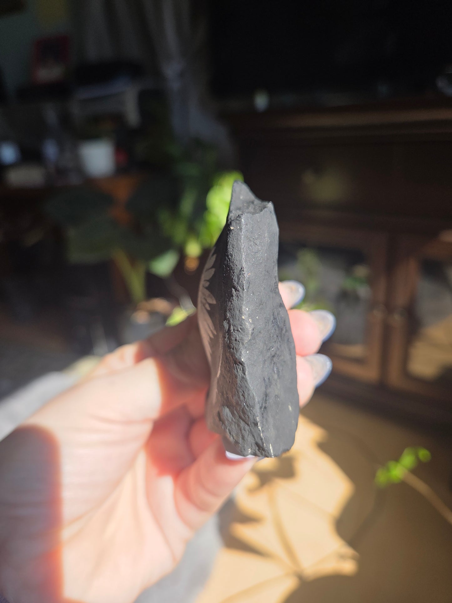 Chrysanthemum Stone Freeform