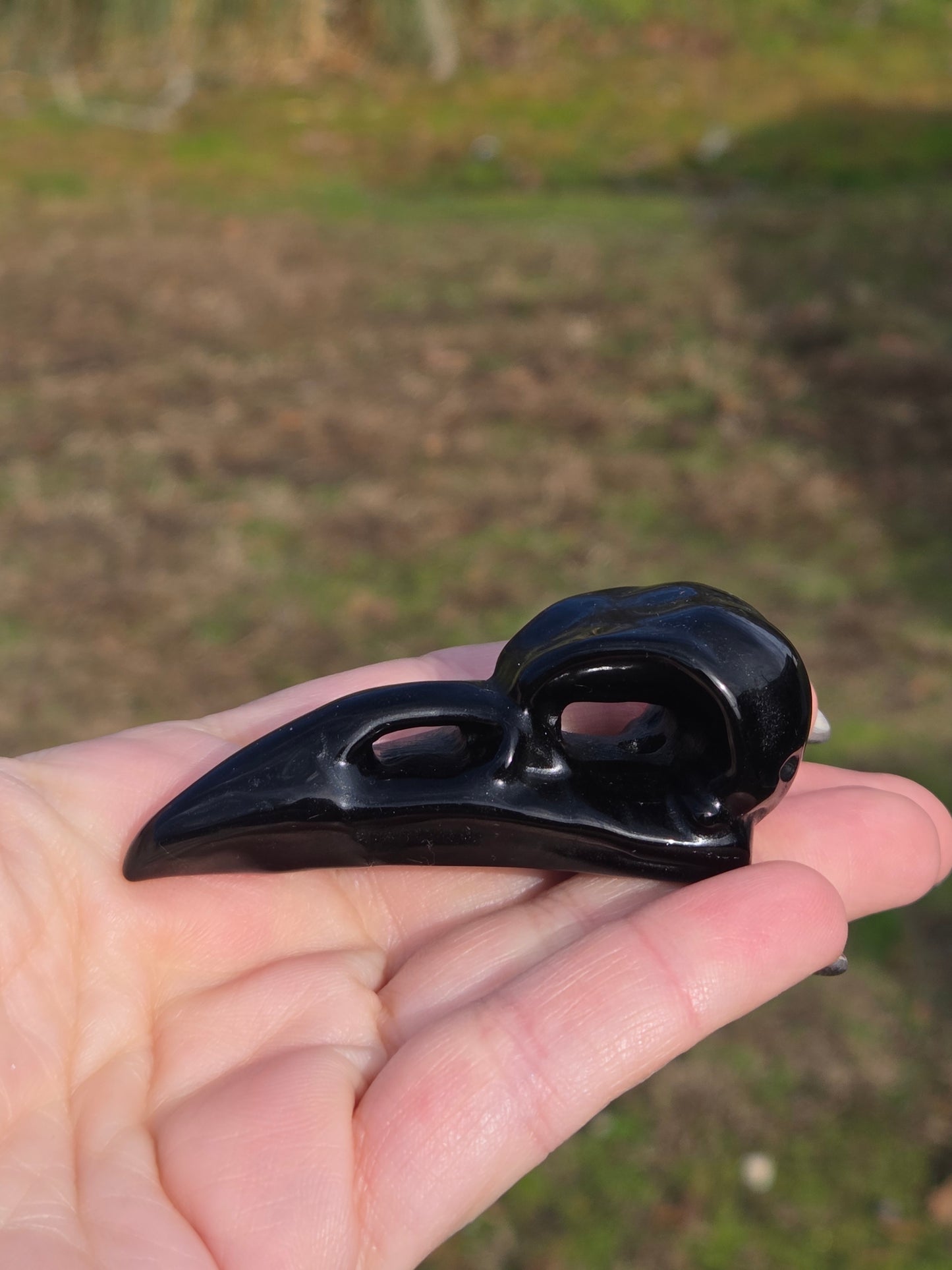 Black Obsidian Raven Head