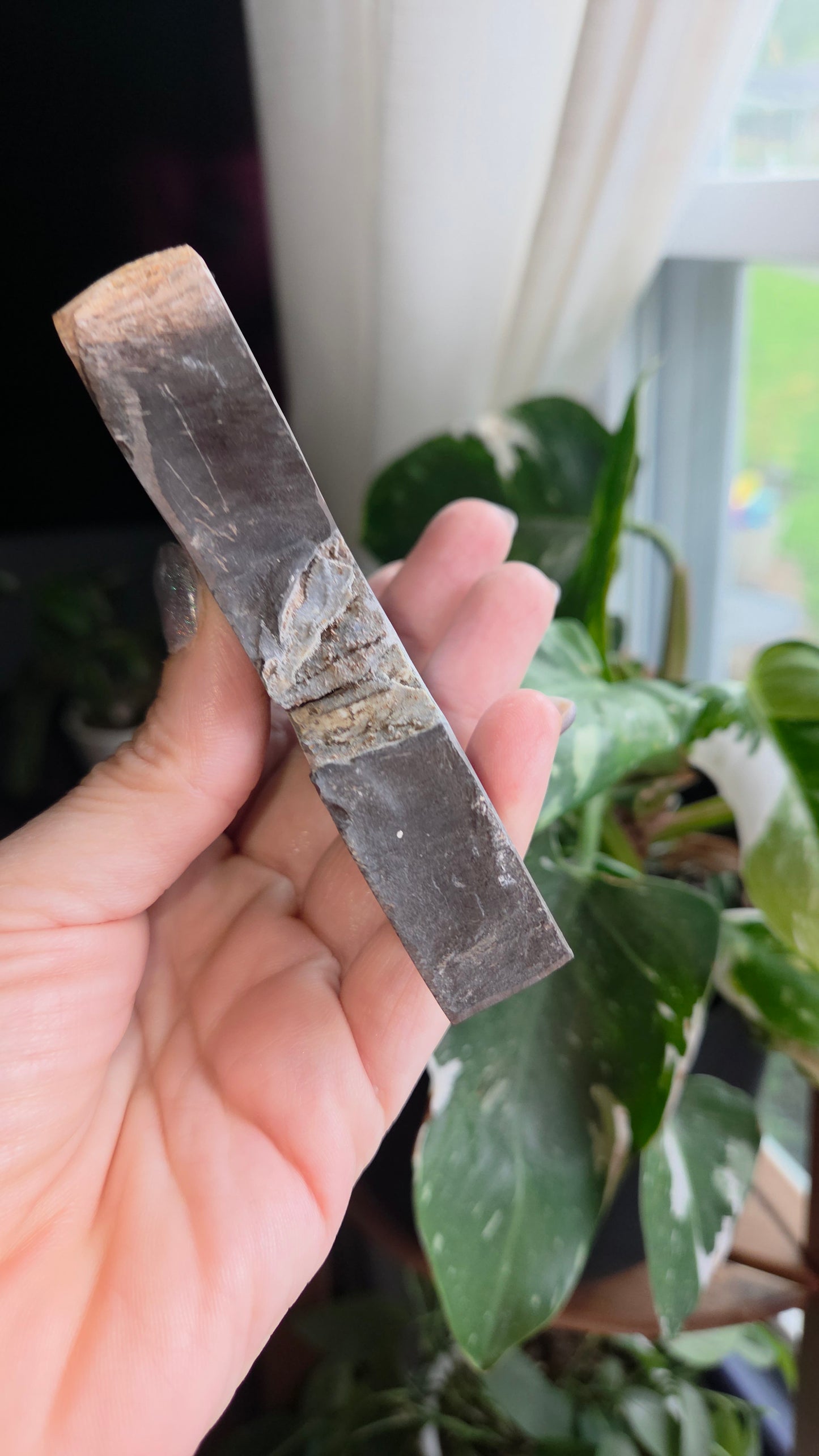 Petrified Wood Sphere Holder (12x)