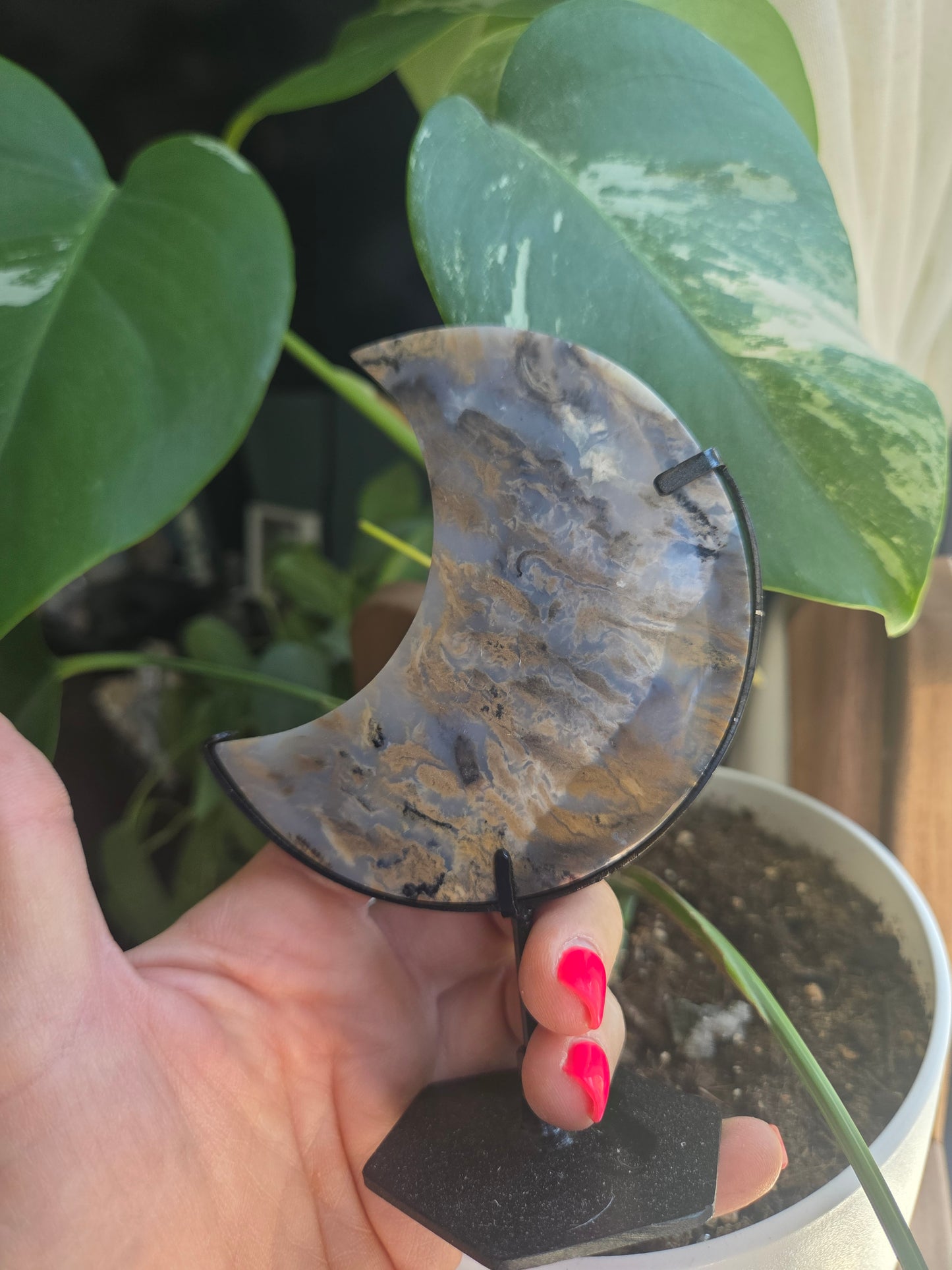 Dendritic Tiger Agate Moon