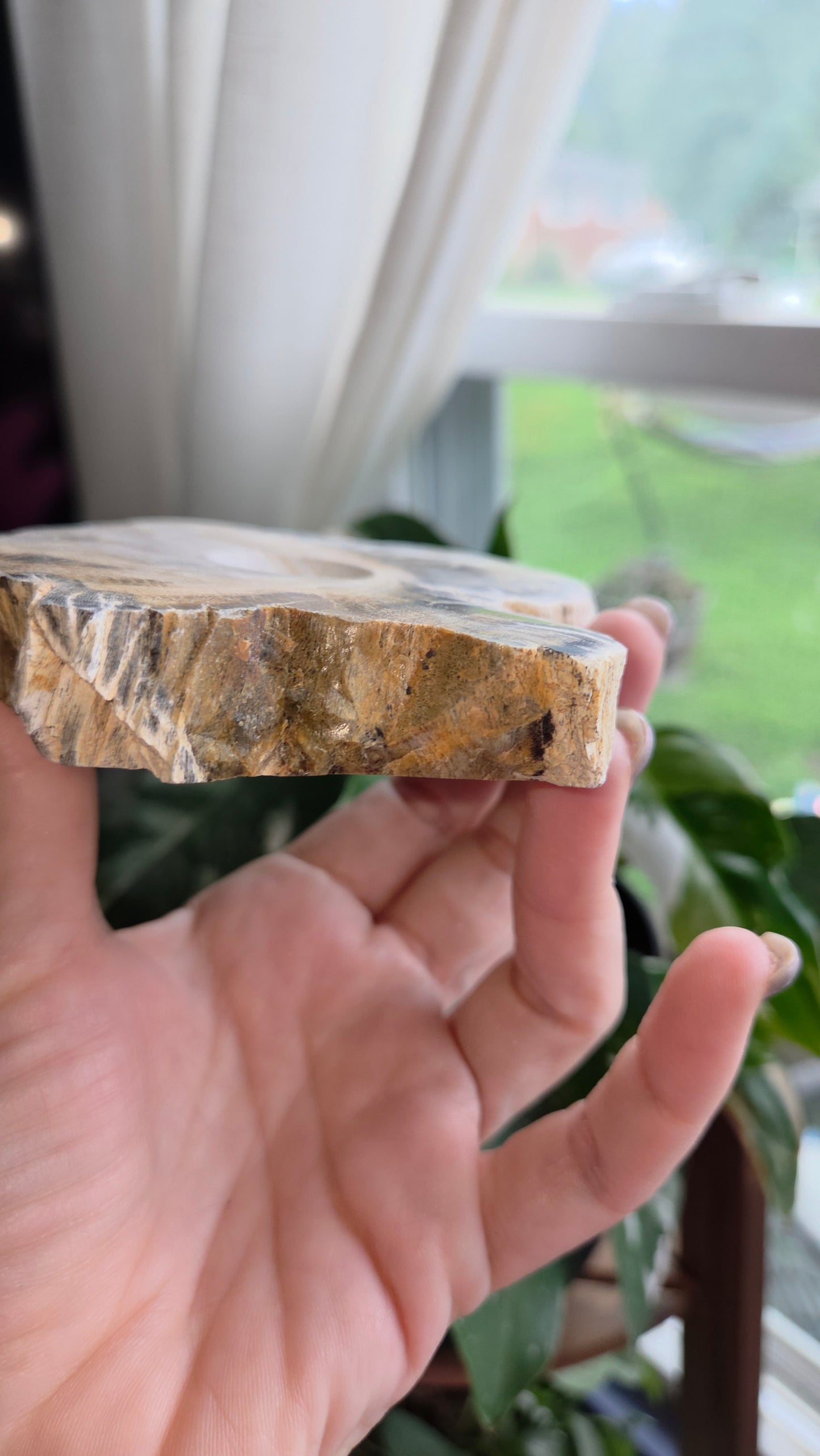 Petrified Wood Sphere Holder (15b)